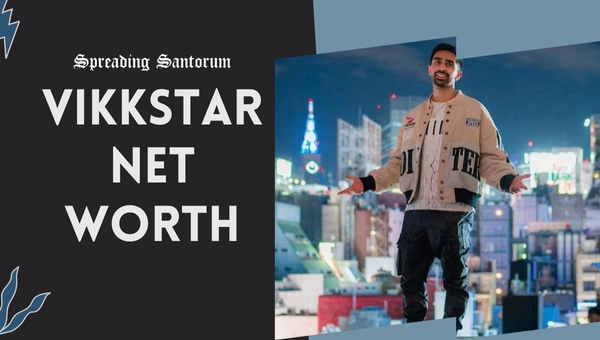 Vikkstar Net Worth