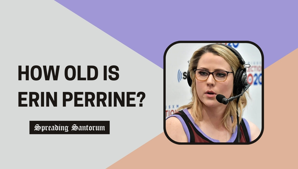 How old is Erin Perrine?