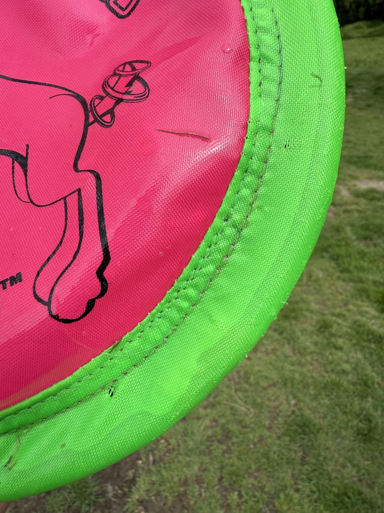 Booda Tail-Spin Flyer, 7-Inch, Multi - Soft-Bite Floppy Dog Frisbee Customer Review Booda Tail-Spin Flyer, 7-Inch, Multi - Soft-Bite Floppy Dog Frisbee - Customer Photo 2