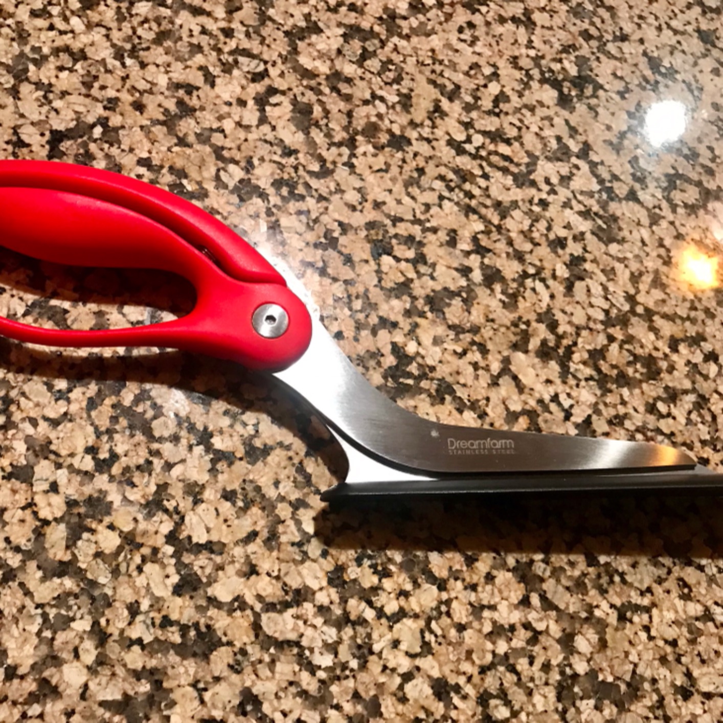 Dreamfarm Scizza 2-In-1 Easy Ergonomic Pizza Scissors with Stainless Steel Pizza Cutter Blades & Non-Stick Slice Server - Red Customer Review Dreamfarm Scizza 2-In-1 Easy Ergonomic Pizza Scissors with Stainless Steel Pizza Cutter Blades & Non-Stick Slice Server - Red - Customer Photo 2
