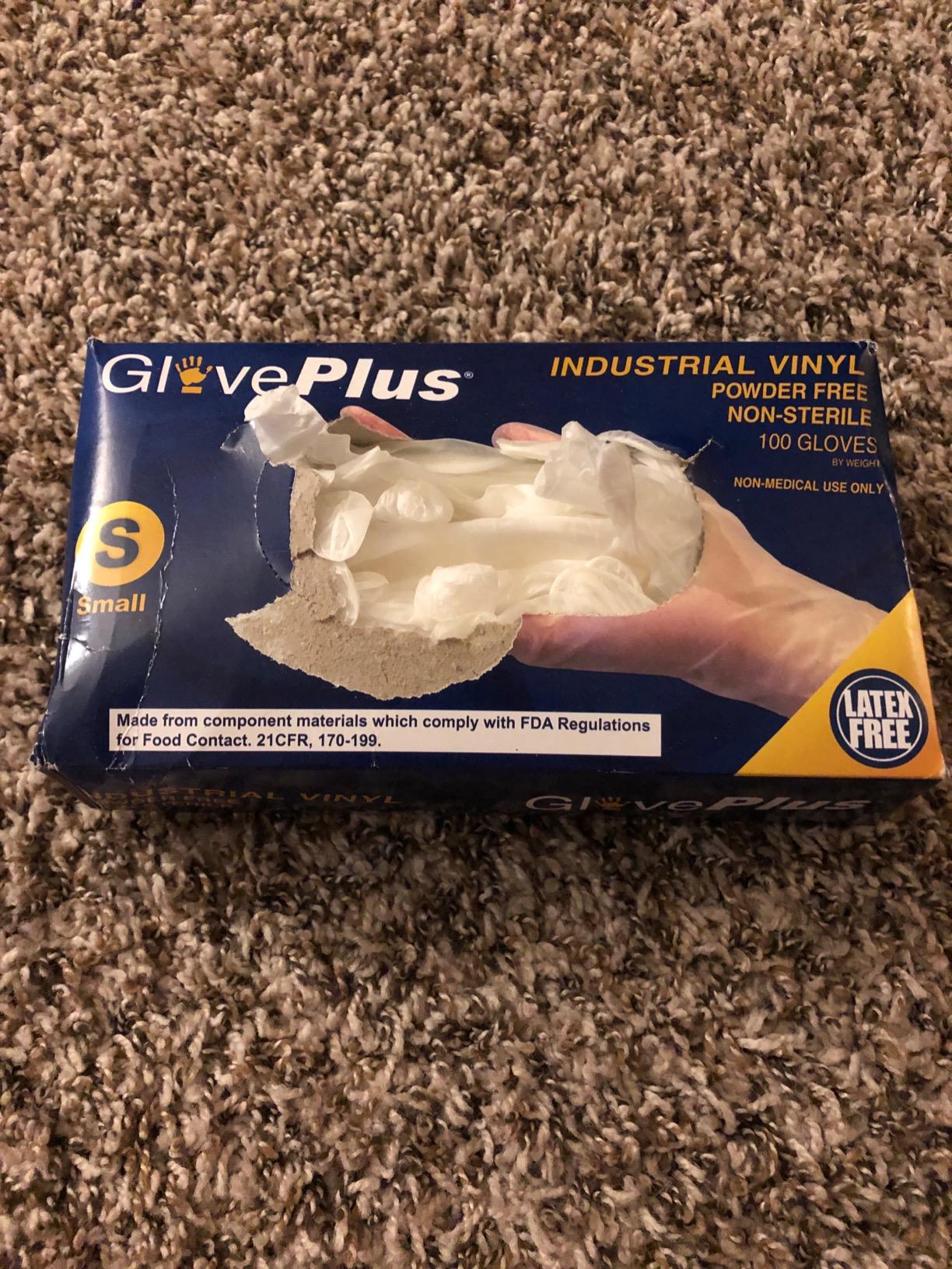 GLOVEPLUS AMMEX Industrial Clear Vinyl Gloves, Latex Free, Powder Free, Food Safe, Disposable, Non-Sterile - Customer Photo 1