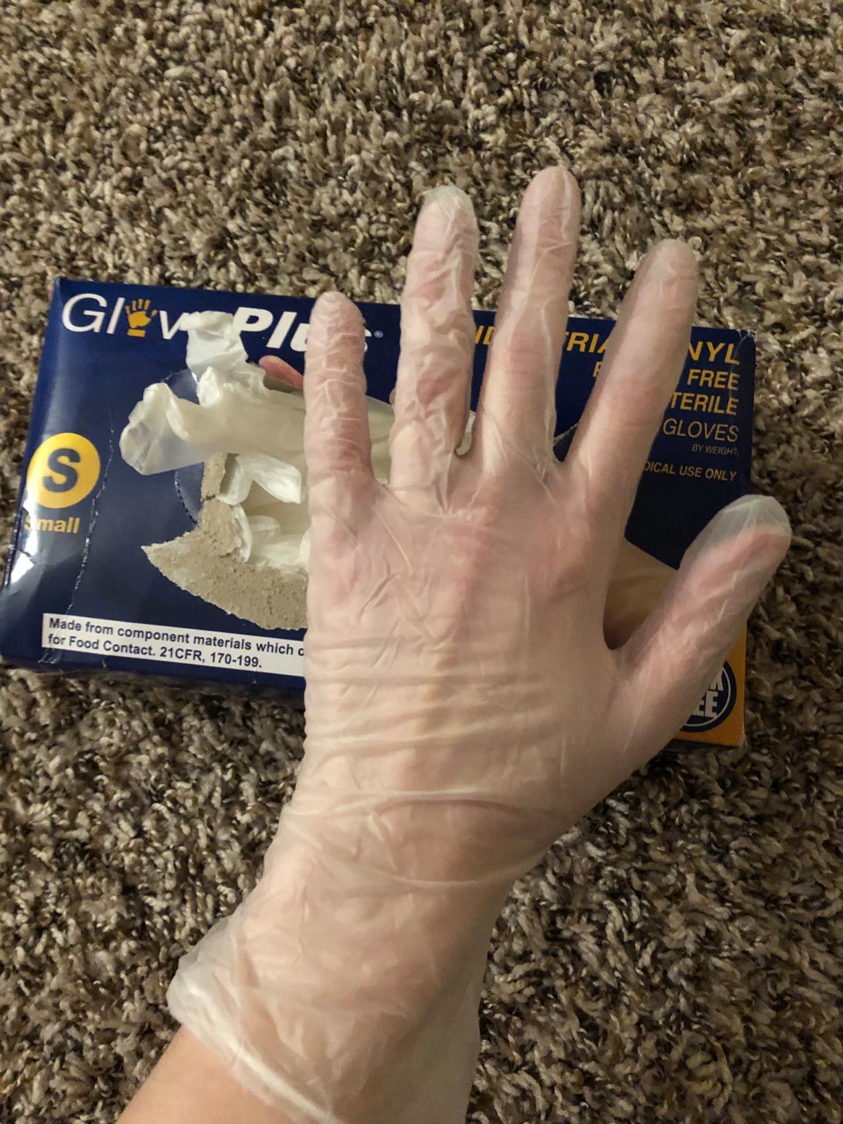 GLOVEPLUS AMMEX Industrial Clear Vinyl Gloves, Latex Free, Powder Free, Food Safe, Disposable, Non-Sterile - Customer Photo 2