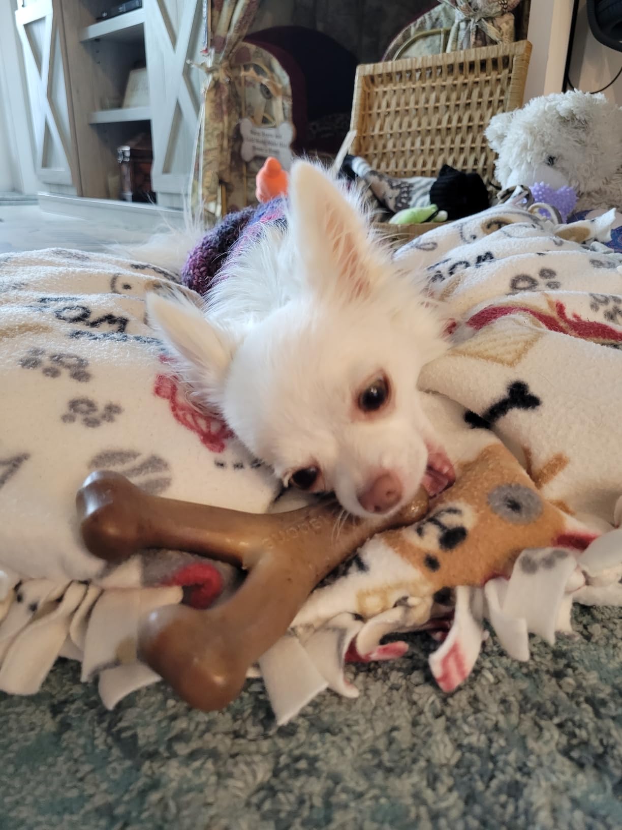 Benebone Wishbone Durable Dog Chew Toy for Aggressive Chewers, Real Bacon, Made in USA, Medium - Customer Photo 1