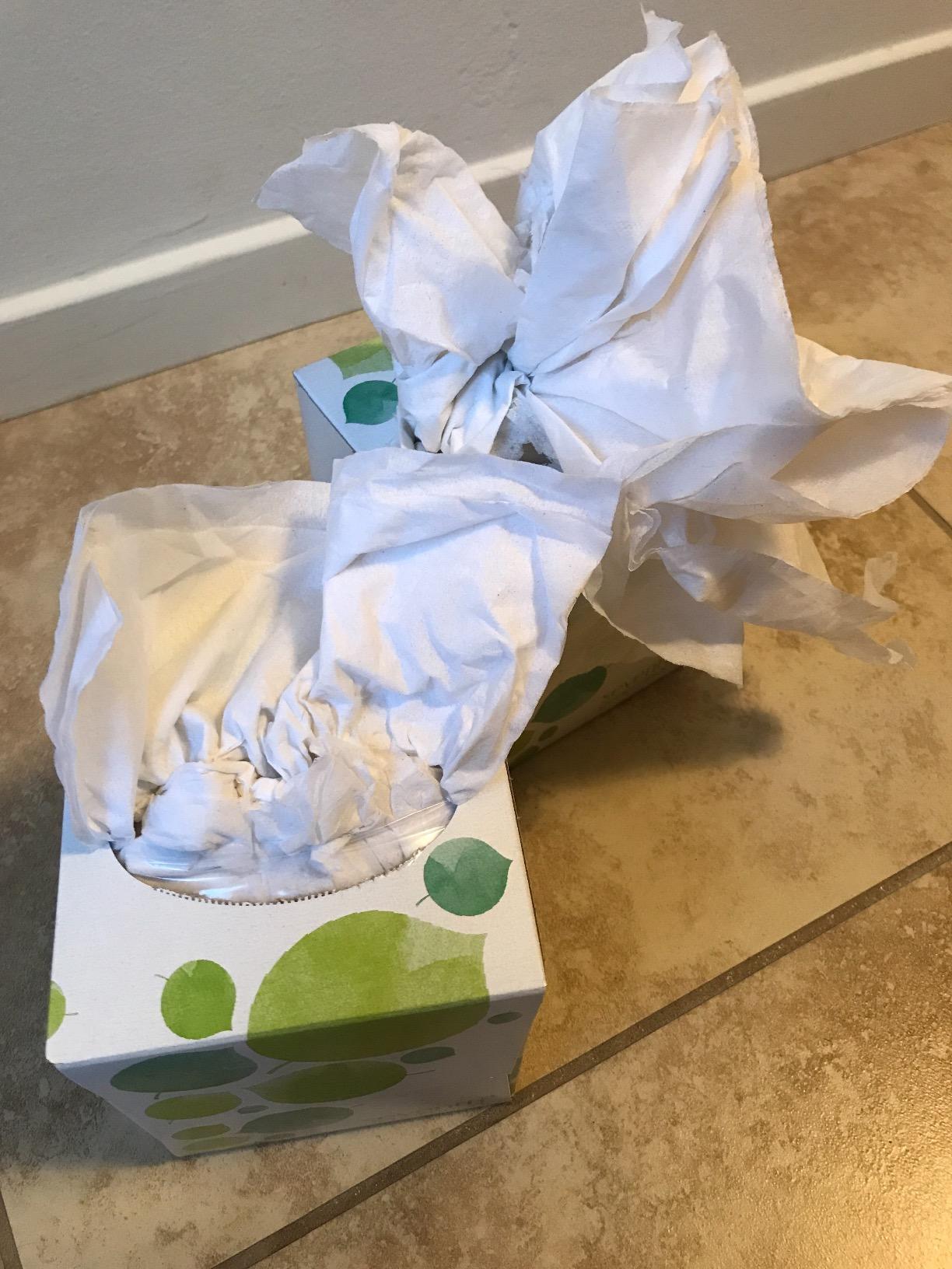 Seventh Generation Recycled Facial Tissue 85 Ct 6 Pk Customer Review Seventh Generation Recycled Facial Tissue 85 Ct 6 Pk - Customer Photo 4