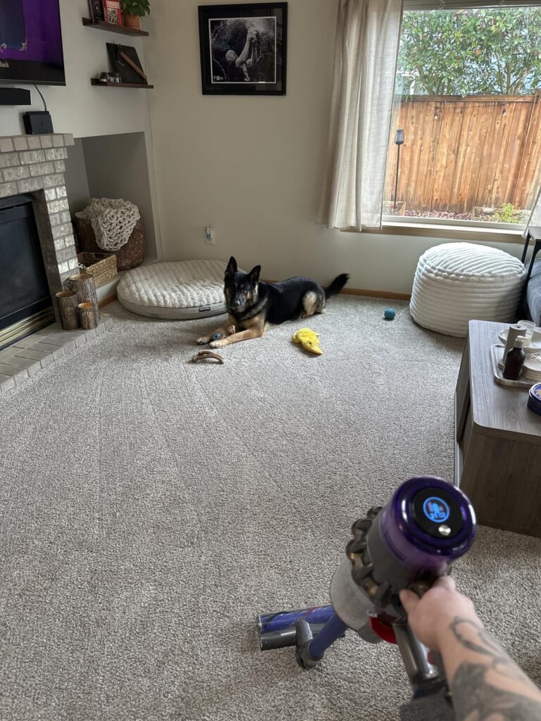 Dyson V11 Origin Cordless Vacuum, 185AW, 3 Power Modes, Up to 60 Minutes,² Deep Cleans Hard Floors and Carpets, Detangles pet Hair, Converts to Handheld Customer Review Best Cordless Stick Vacuum