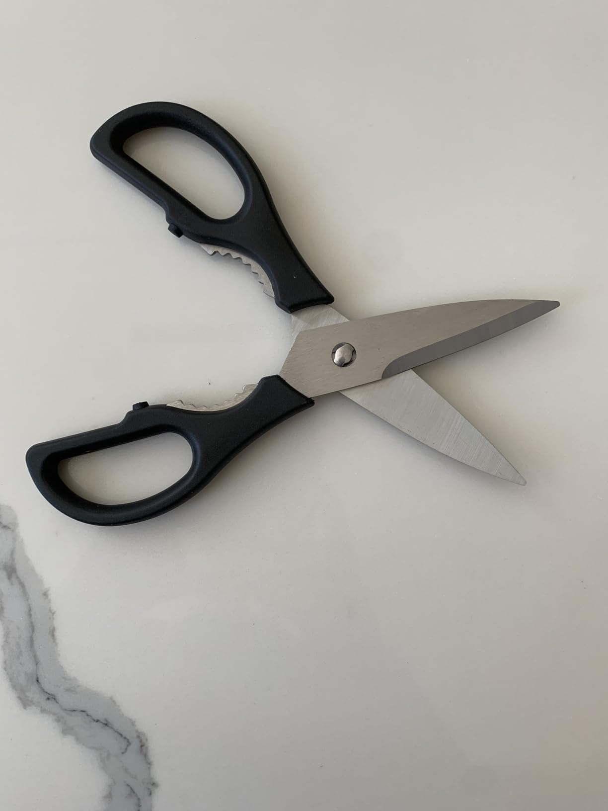 WÜSTHOF Come Apart Kitchen Shears Customer Review WÜSTHOF Come Apart Kitchen Shears - Customer Photo 1