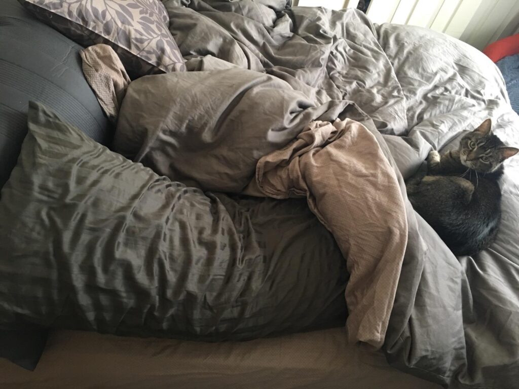 Best Body Pillows