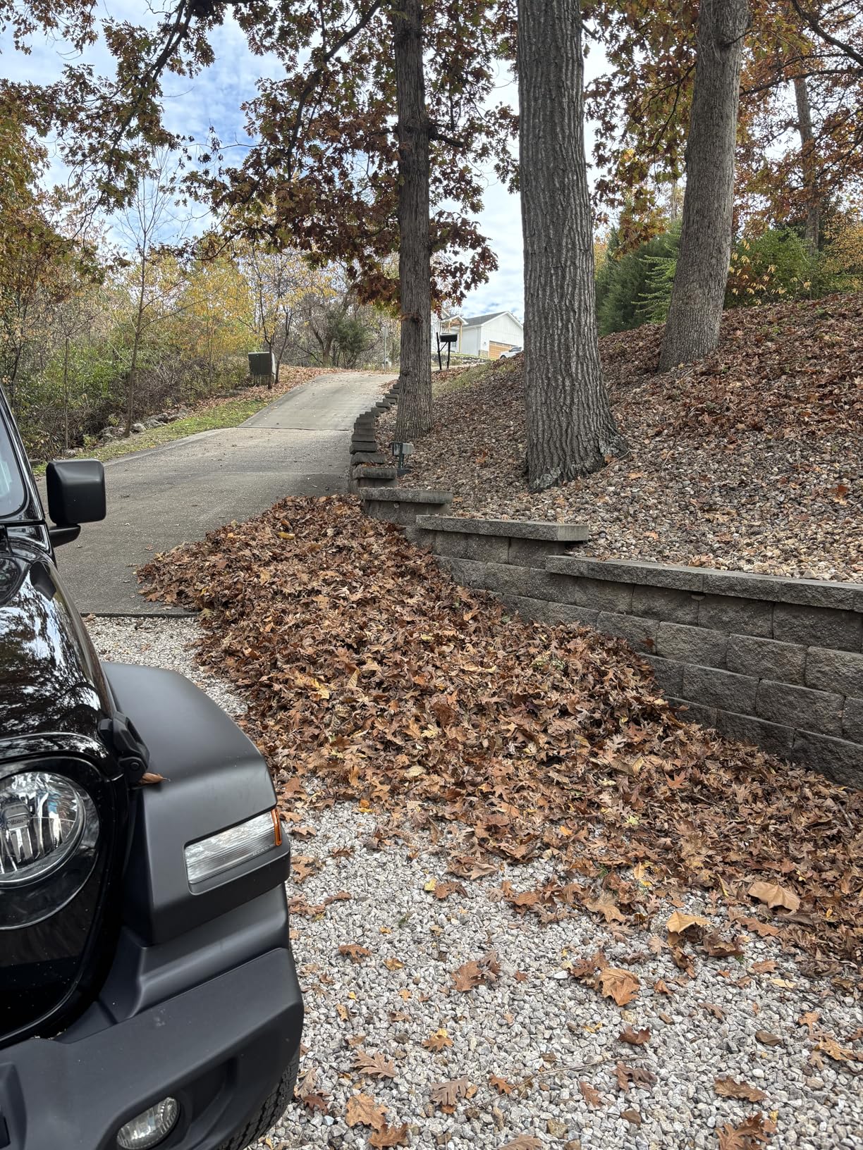 WORX 12 Amp Electric Leaf Blower, Turbine Blower for Lawn Care with 600 CFM & 2 Speed Control, Corded, WG520 Customer Review WORX 12 Amp Electric Leaf Blower, Turbine Blower for Lawn Care with 600 CFM & 2 Speed Control, Corded, WG520 - Customer Photo 4