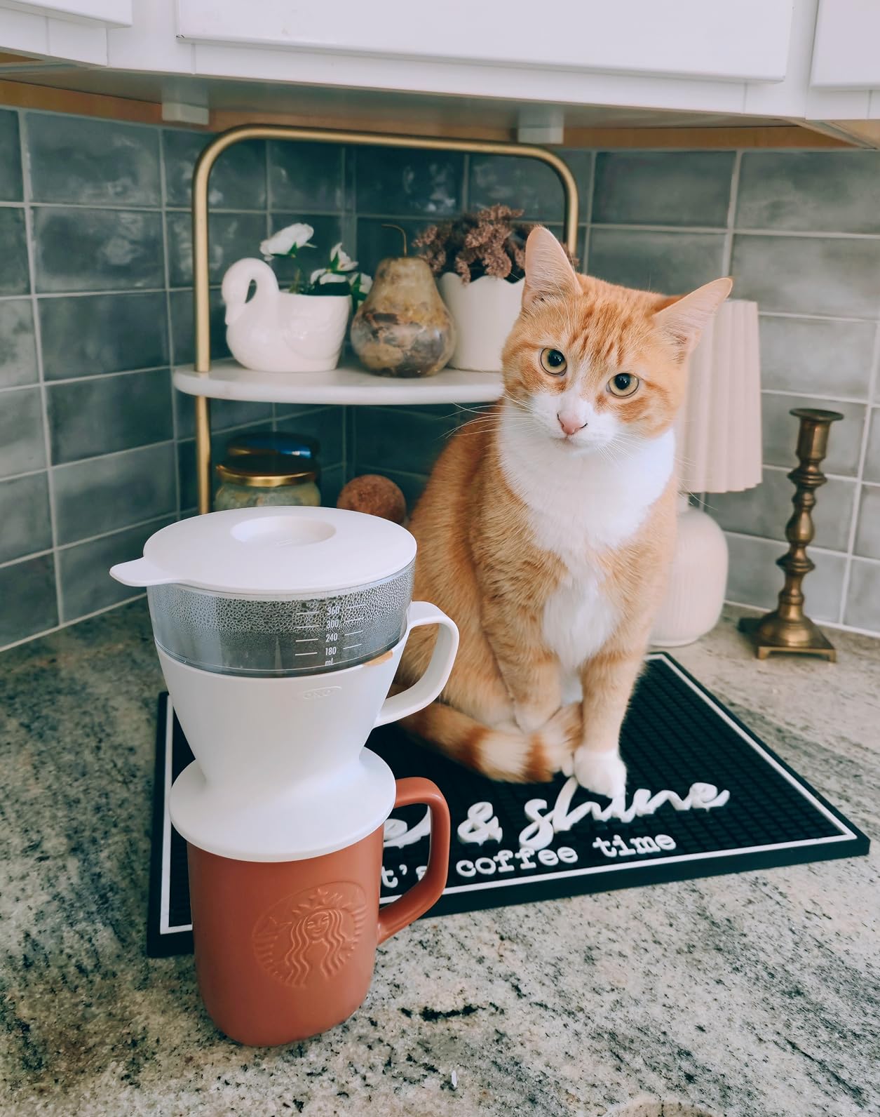 OXO Brew Single Serve Pour-Over Coffee Maker Customer Review OXO Brew Single Serve Pour-Over Coffee Maker - Customer Photo 1