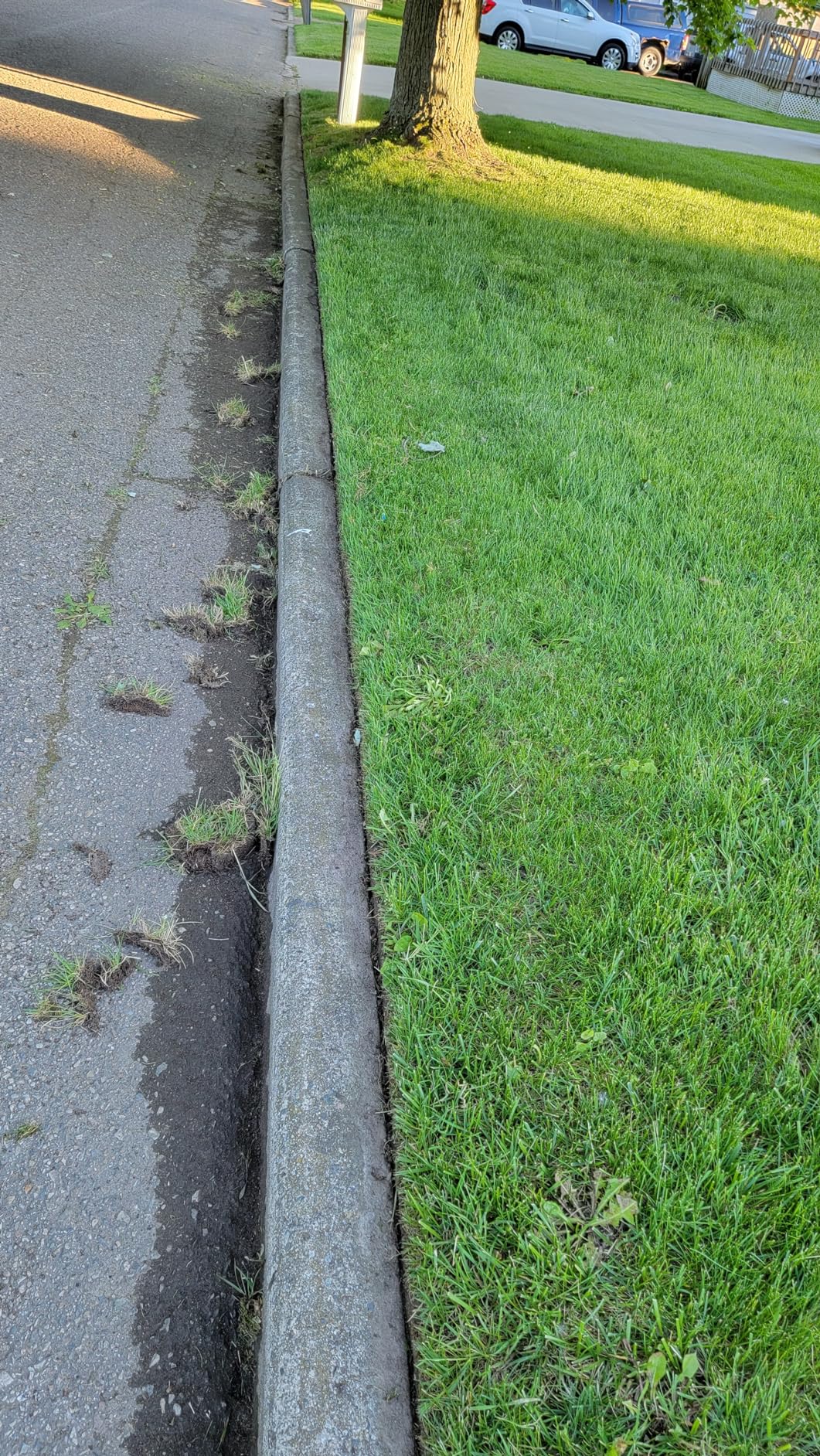 Greenworks 40V 12 in Cordless String Trimmer, 2.0 Ah Battery and Charger customer photo 2