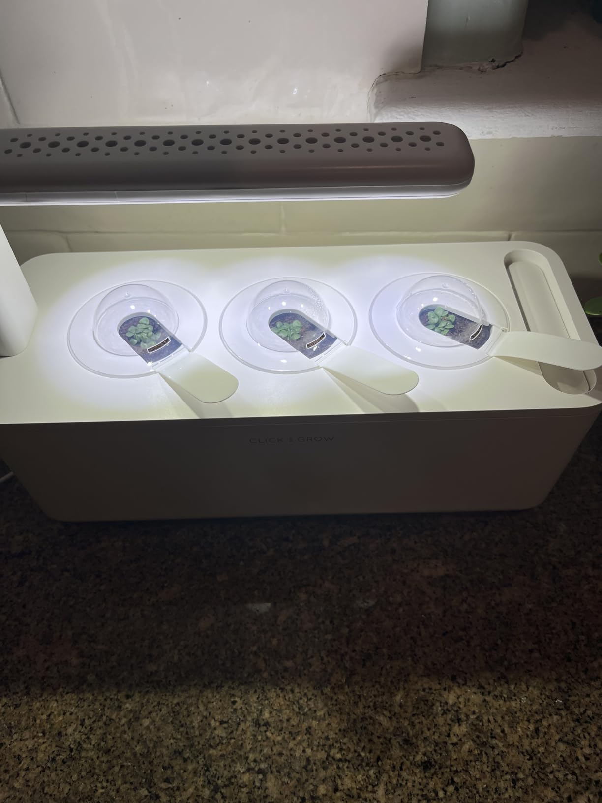 Click & Grow Indoor Herb Garden Kit with Grow Light | Smart Garden for Home Kitchen Windowsill | Easier Than Hydroponics Growing System | Vegetable Gardening Starter (3 Basil Pods Included), White Customer Review Click & Grow Indoor Herb Garden Kit with Grow Light | Smart Garden for Home Kitchen Windowsill | Easier Than Hydroponics Growing System | Vegetable Gardening Starter (3 Basil Pods Included), White - Customer Photo 1