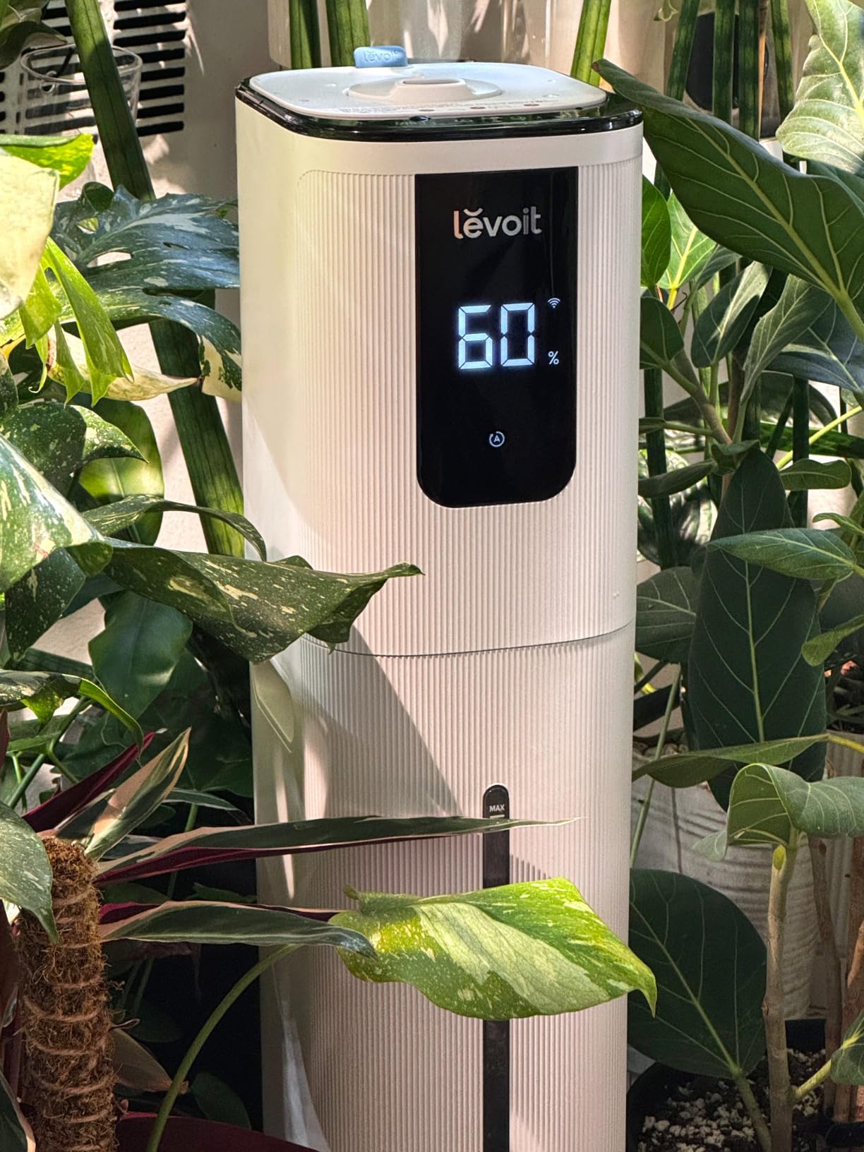 Levoit Humidifiers for Bedroom Large Room Home, Warm and Cool Mist, White customer photo 1