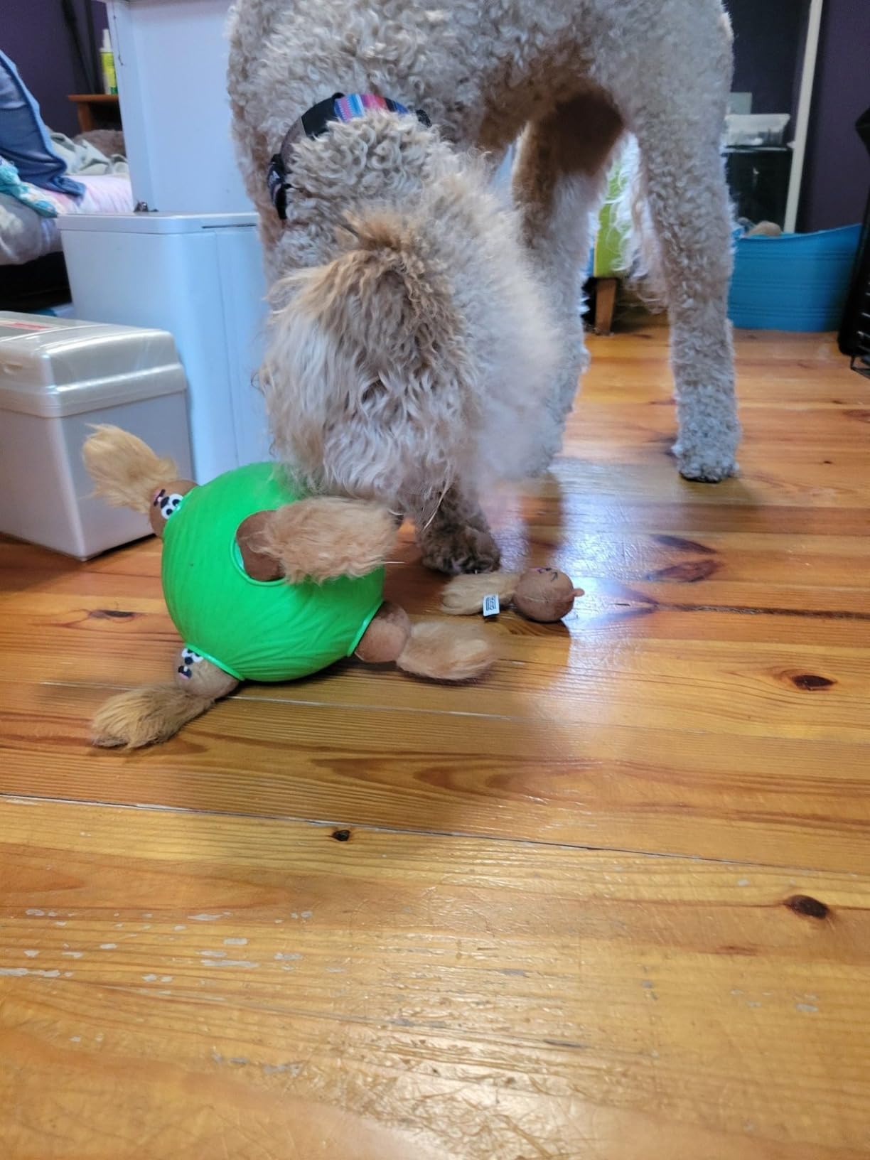 Outward Hound by Nina Ottosson Dog Brick – Interactive Treat Puzzle Enrichment Toy, Level 2 Intermediate - Customer Photo 1