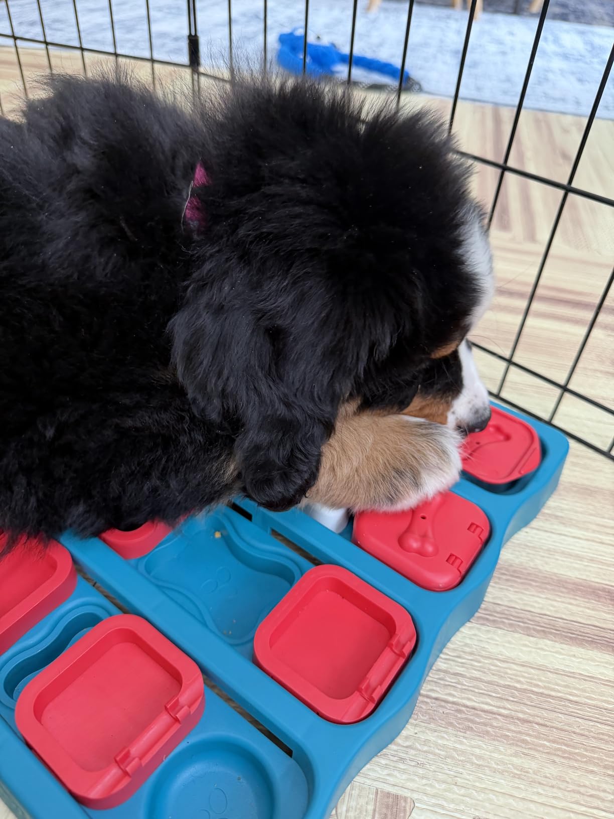 Outward Hound by Nina Ottosson Dog Brick – Interactive Treat Puzzle Enrichment Toy, Level 2 Intermediate - Customer Photo 5