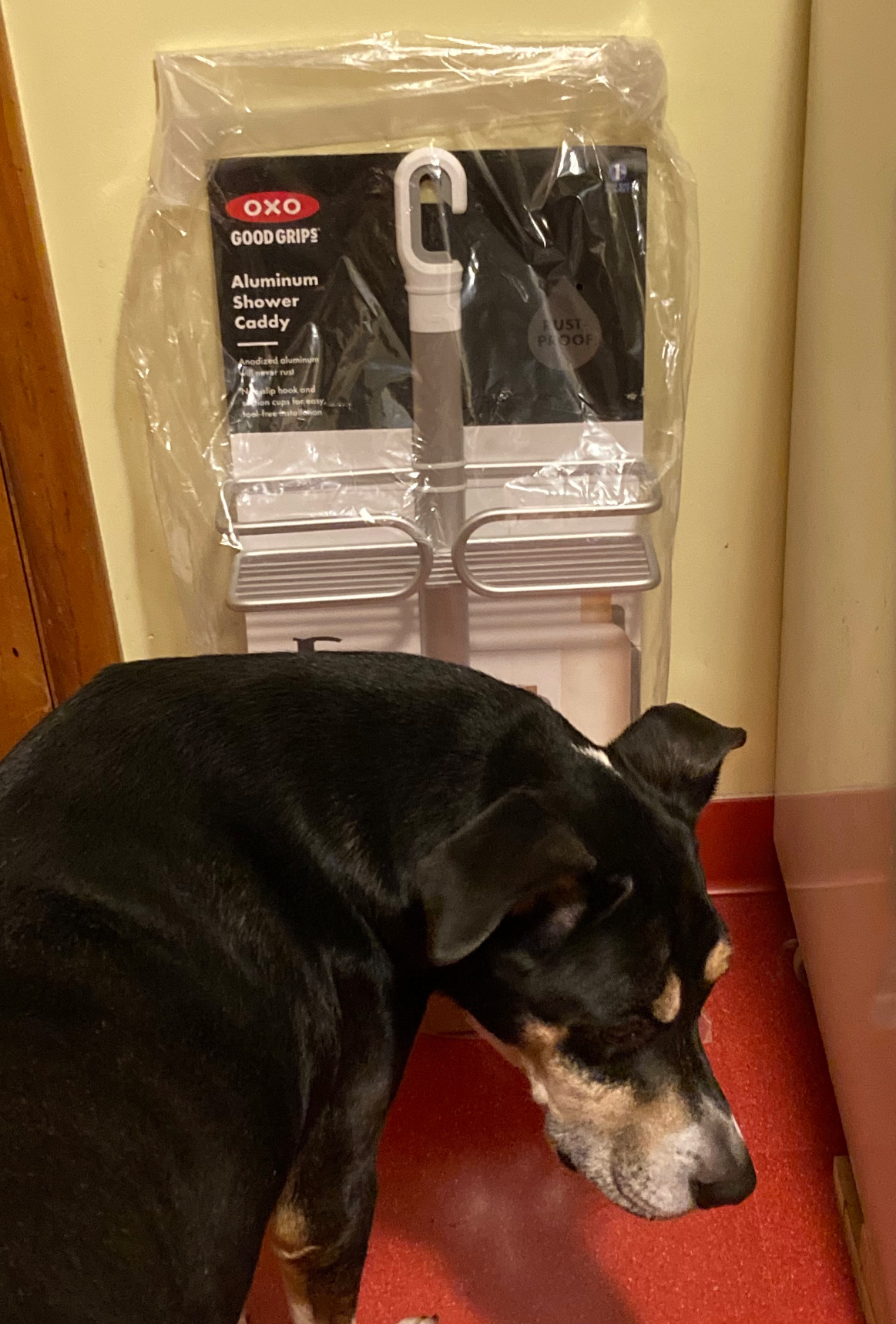 OXO Good Grips 3-Tier Aluminum Shower Caddy Customer Review OXO Good Grips 3-Tier Aluminum Shower Caddy - Customer Photo 2