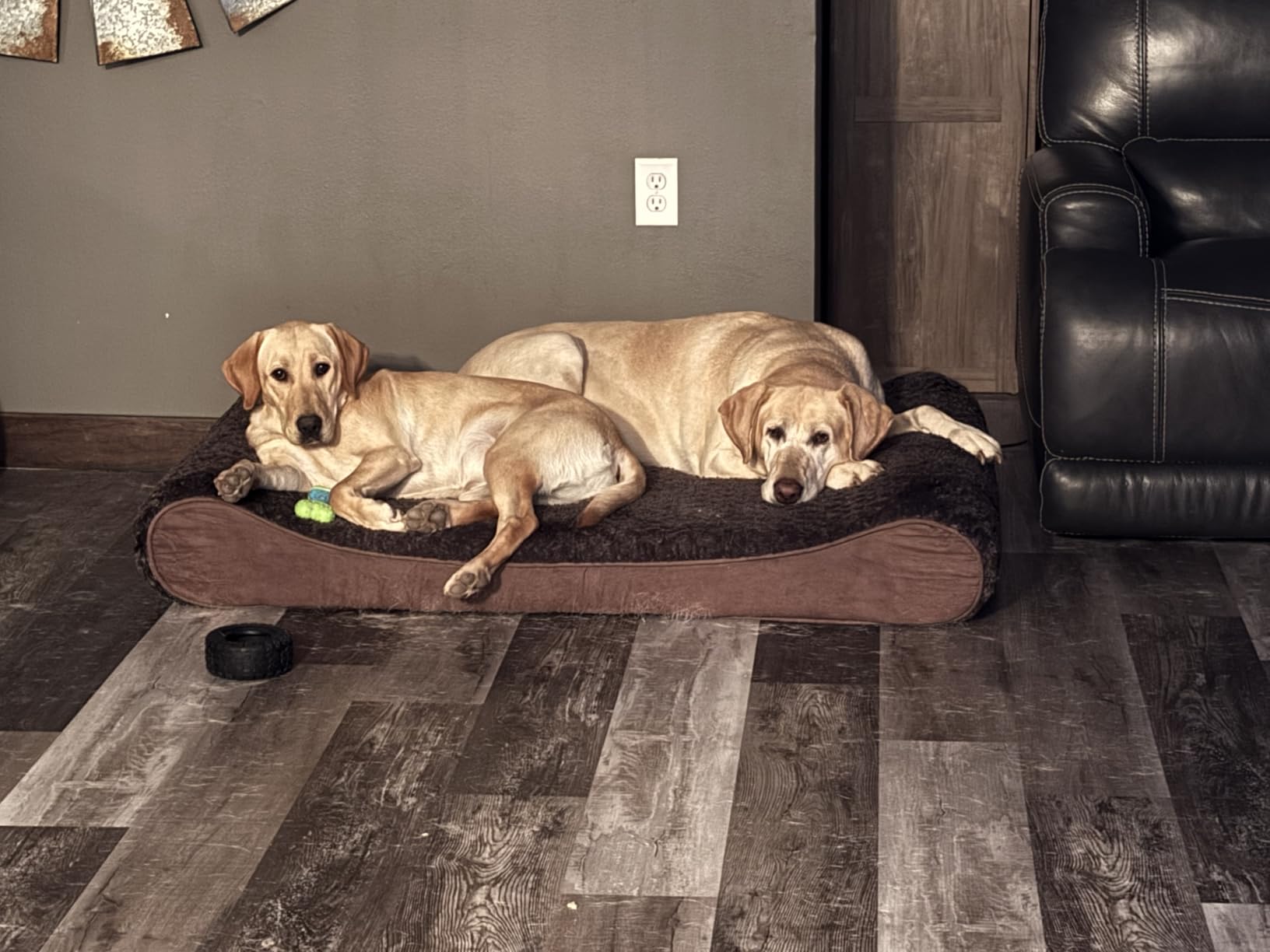 FurHaven Orthopedic Dog Bed for Large Dogs, Luxe Lounger Contour Mattress with Solid Orthopedic Foam Slab for Joint Support, Removable Washable Cover, Jumbo XL, Plush Suede, Gray Customer Review FurHaven Orthopedic Dog Bed for Large Dogs, Luxe Lounger Contour Mattress with Solid Orthopedic Foam Slab for Joint Support, Removable Washable Cover, Jumbo XL, Plush Suede, Gray - Customer Photo 1