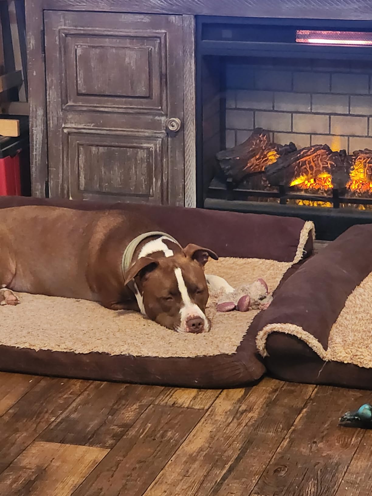 Furhaven Orthopedic Dog Bed for Large Dogs w/ Removable Bolsters & Washable Cover, For Dogs Up to 95 lbs - Two-Tone Plush Faux Fur & Suede L Shaped Chaise - Stone Gray, Jumbo/XL Customer Review Furhaven Orthopedic Dog Bed for Large Dogs w/ Removable Bolsters & Washable Cover, For Dogs Up to 95 lbs - Two-Tone Plush Faux Fur & Suede L Shaped Chaise - Stone Gray, Jumbo/XL - Customer Photo 2