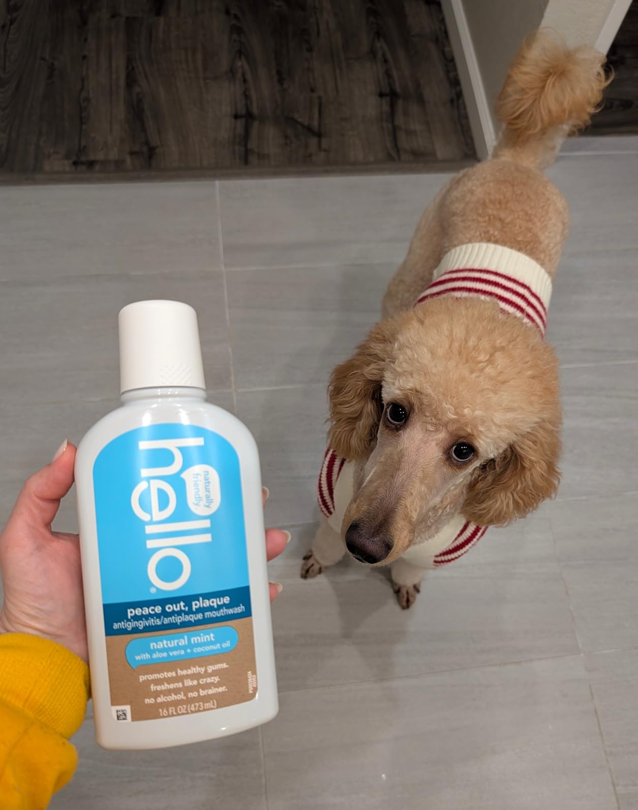 Hello Peace Out Plaque, Antigingivitis Alcohol Free Mouthwash, Natural Mint with Aloe Vera and Coconut Oil, Fluoride Free, Vegan, SLS Free and Gluten Free, 16 Ounce (Pack of 3) Customer Review Hello Peace Out Plaque, Antigingivitis Alcohol Free Mouthwash, Natural Mint with Aloe Vera and Coconut Oil, Fluoride Free, Vegan, SLS Free and Gluten Free, 16 Ounce (Pack of 3) - Customer Photo 1