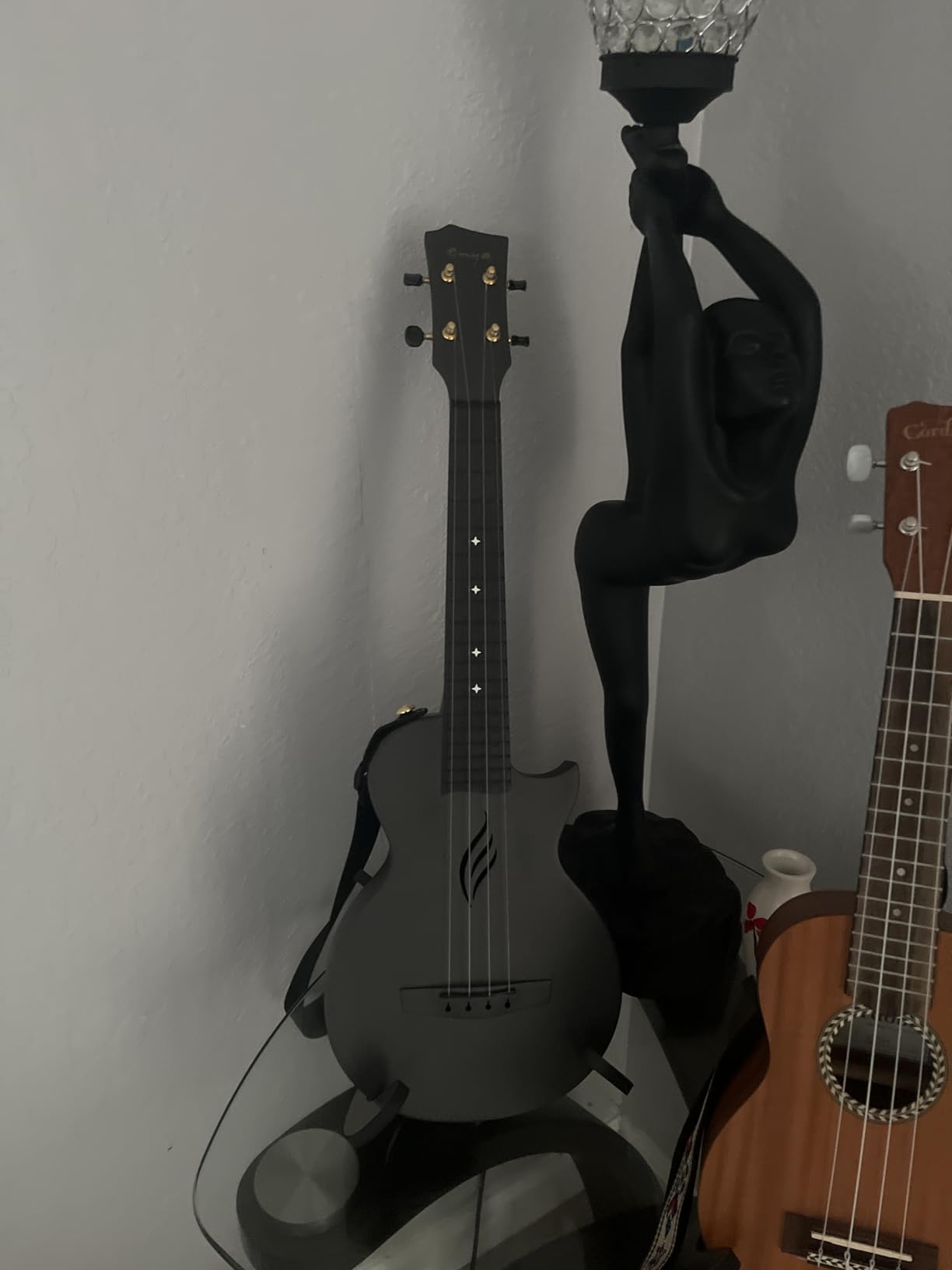 Kala Satin Mahogany Tenor Ukulele (KA-15T) - Customer Photo 1