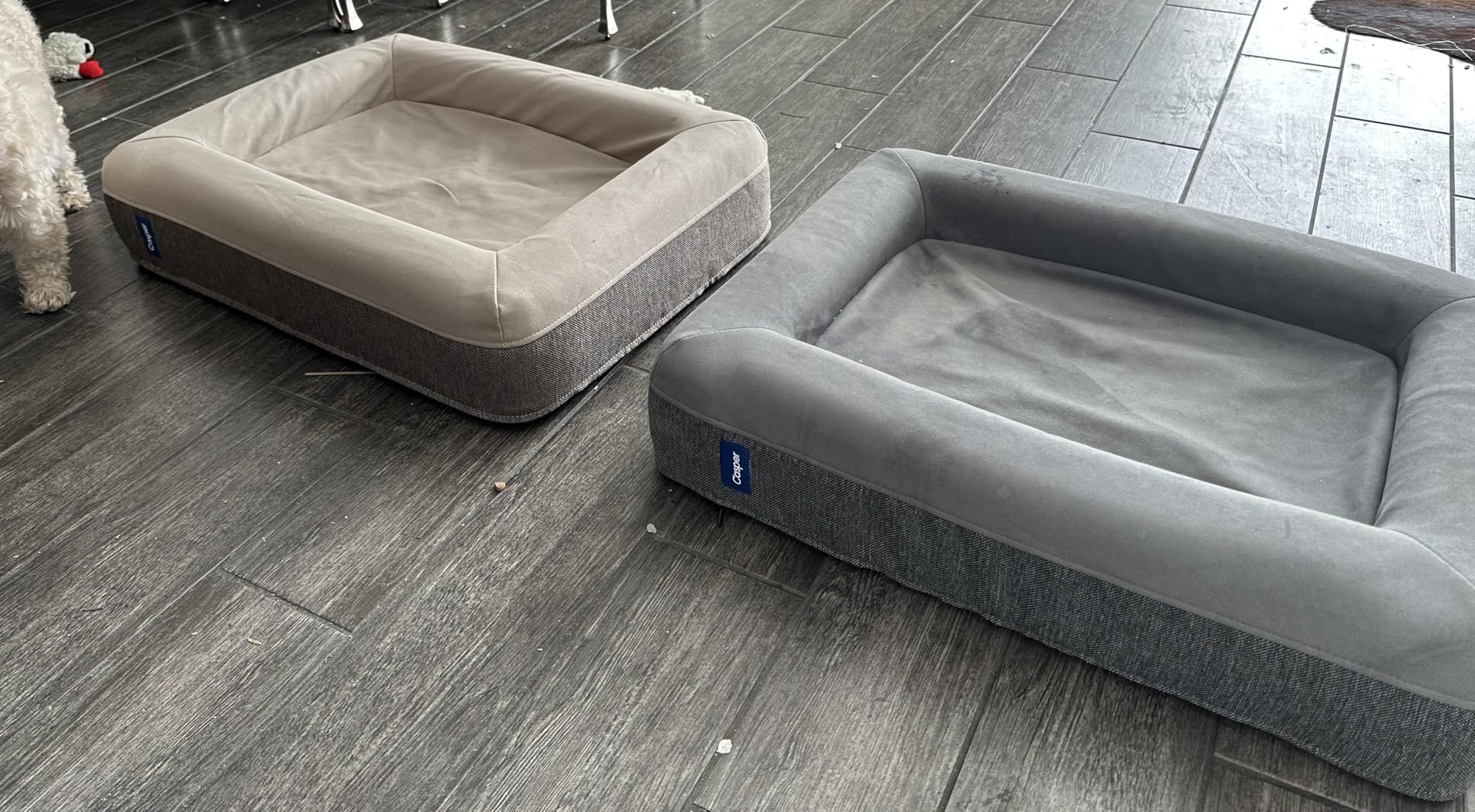 Casper Dog Bed, Plush Memory Foam, Medium, Sand Customer Review Casper Dog Bed, Plush Memory Foam, Medium, Sand - Customer Photo 2