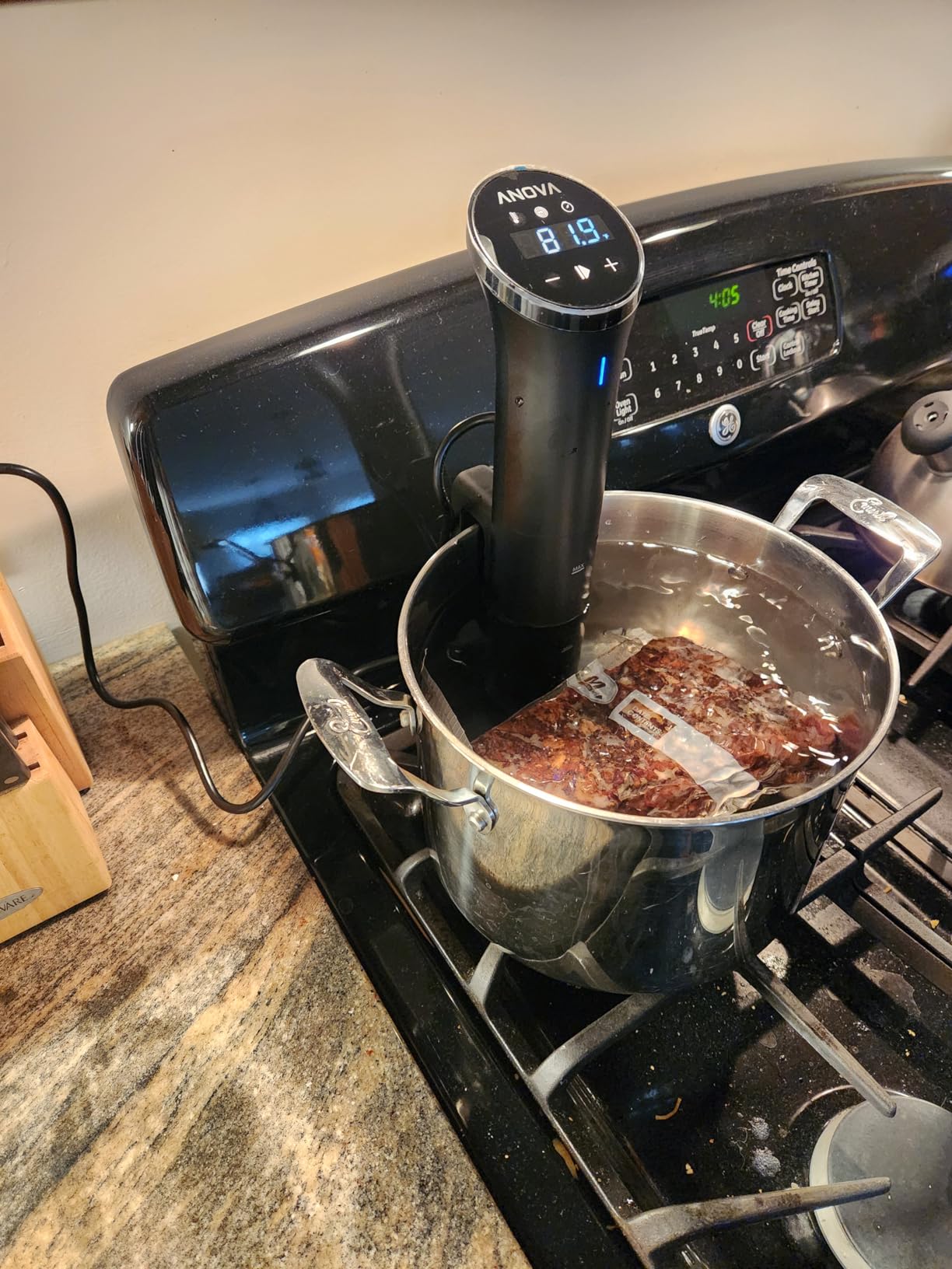 Anova Culinary Sous Vide Precision Cooker Nano 2.0 - Customer Photo 2