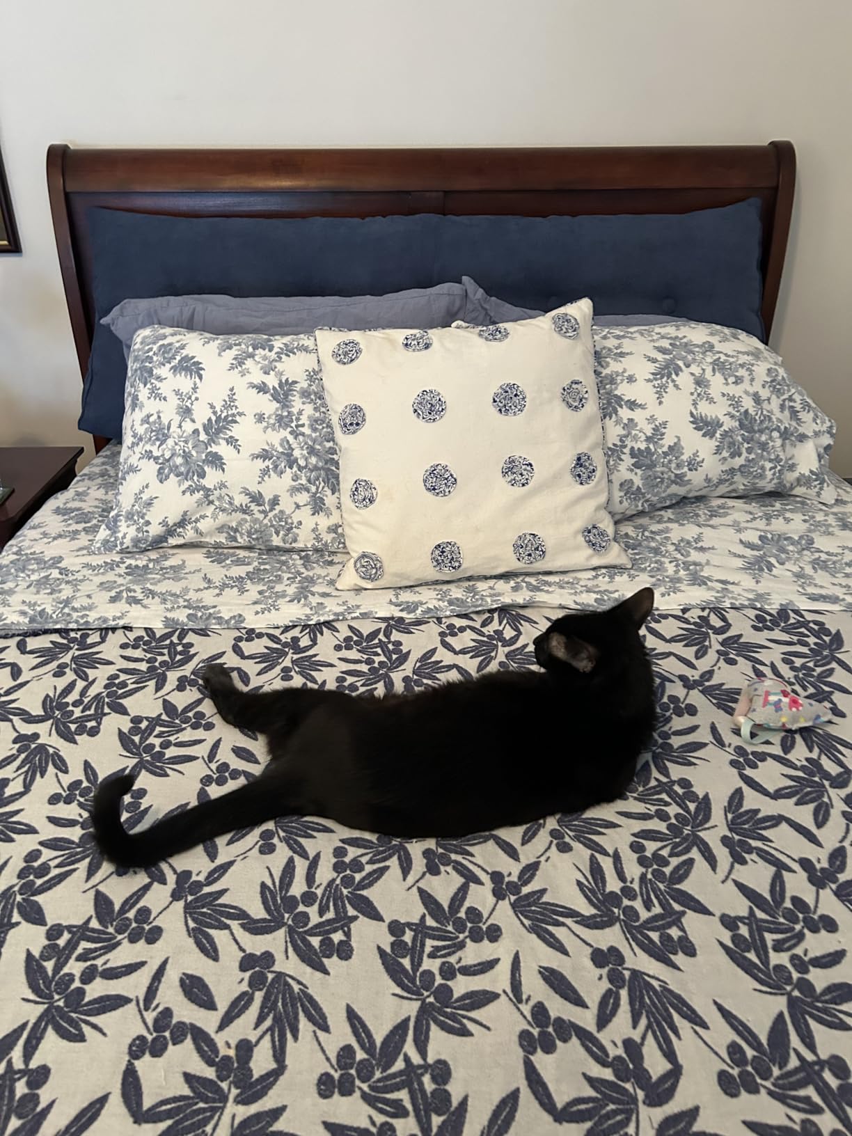 Laura Ashley - Flannel Sheets Queen Size, Anti-Pilling & Wrinkle Resistant Cotton, Touchably Soft for All-Season Comfort - Bed Sheets with Matching Pillowcases & Fitted Sheet (Mulholland Plaid Blue) - Customer Photo 1
