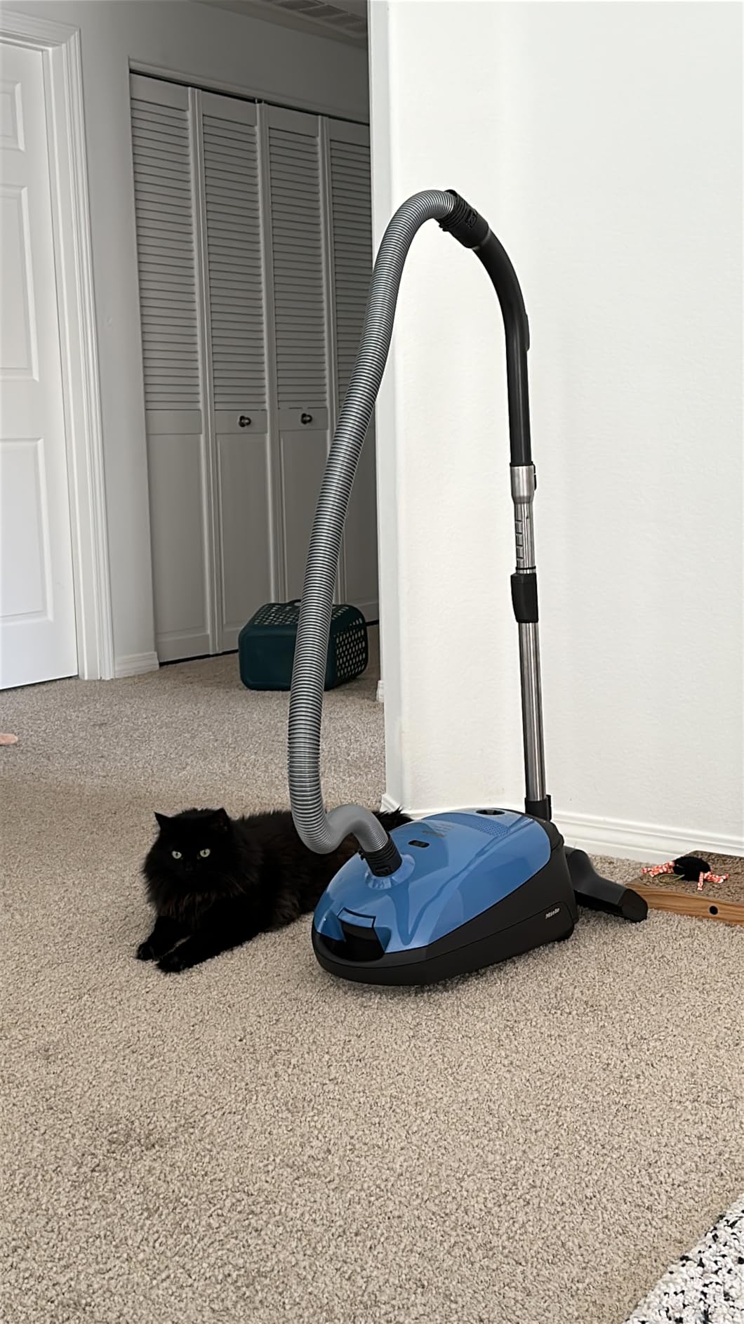 Miele Classic C1 Turbo Team Vacuum for Hard Floors & Low-Med Pile Carpet customer photo 2
