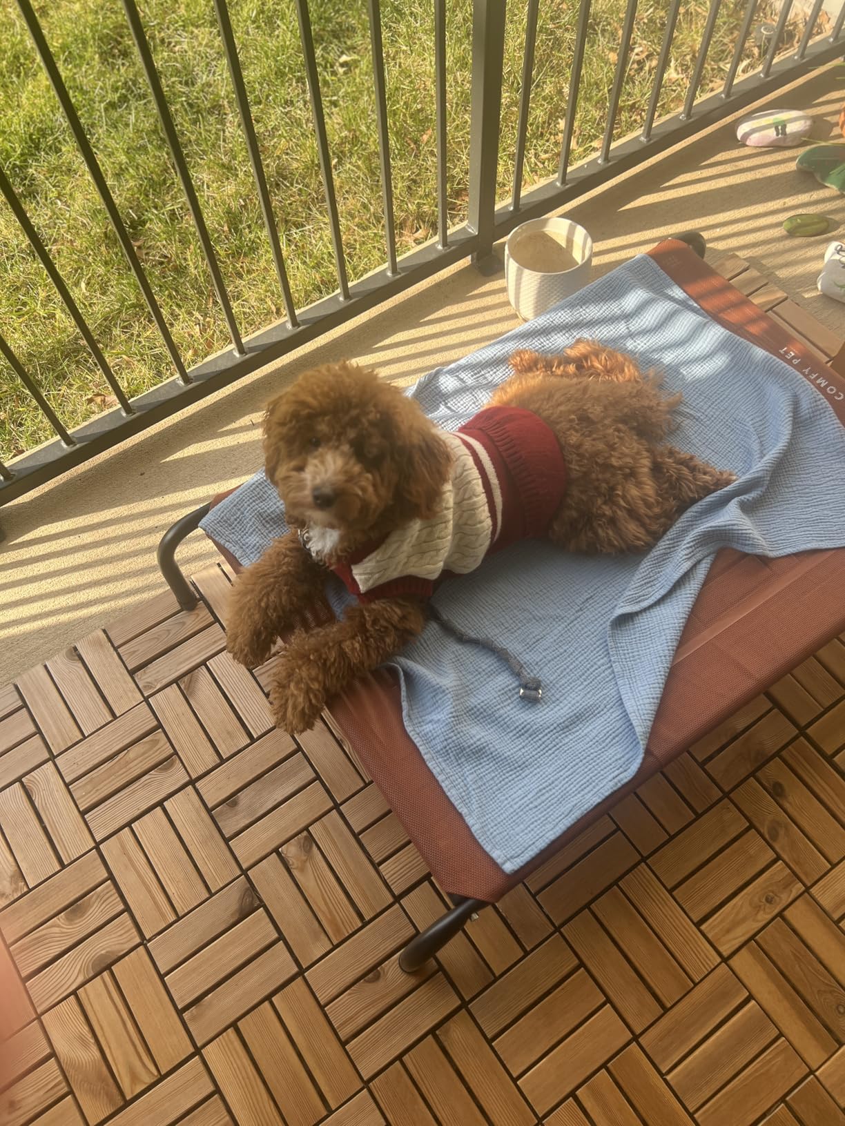 Bedsure Outdoor Elevated Cooling Dog Bed Large Sized Dog, 49in Grey customer photo 2