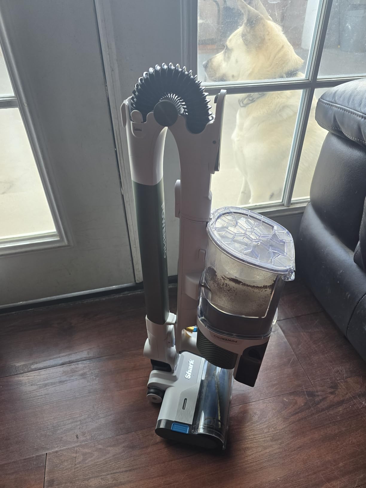 Shark Pet Cordless Vacuum Cleaner | LED Headlights | Removable Handheld Vacuum for Pet Hair | Crevice Tool & Pet Multi-Tool Included | 40min Runtime | For Carpet & Hard Floors | Grey | IX141 Customer Review Shark Pet Cordless Vacuum Cleaner | LED Headlights | Removable Handheld Vacuum for Pet Hair | Crevice Tool & Pet Multi-Tool Included | 40min Runtime | For Carpet & Hard Floors | Grey | IX141 - Customer Photo 2