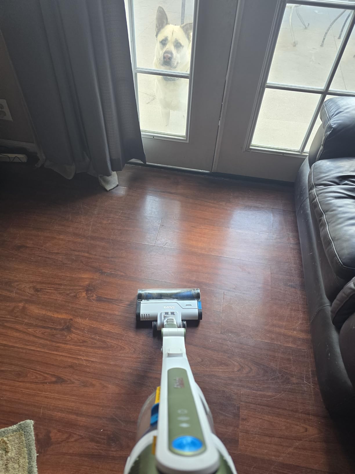Shark Pet Cordless Stick Vacuum, Grey, IX141 | HyperVelocity Suction, XL Dust Cup, LED Headlights, Removeable Handheld, Crevice & Pet Tool, 40-Min Runtime, Lightweight customer photo 2