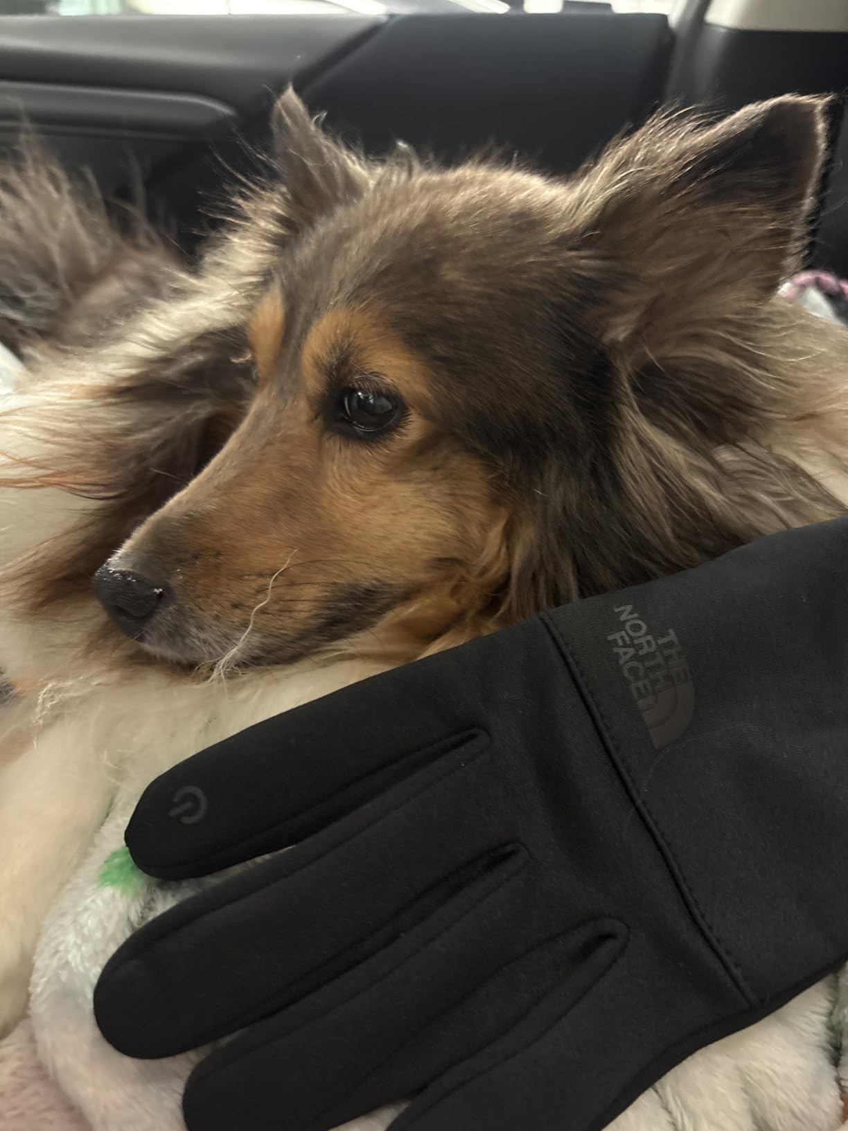 THE NORTH FACE Etip Fleece Recycled Gloves | Touchscreen Compatible Gear for Men & Women, Hand Warming Winter Essential - Customer Photo 1