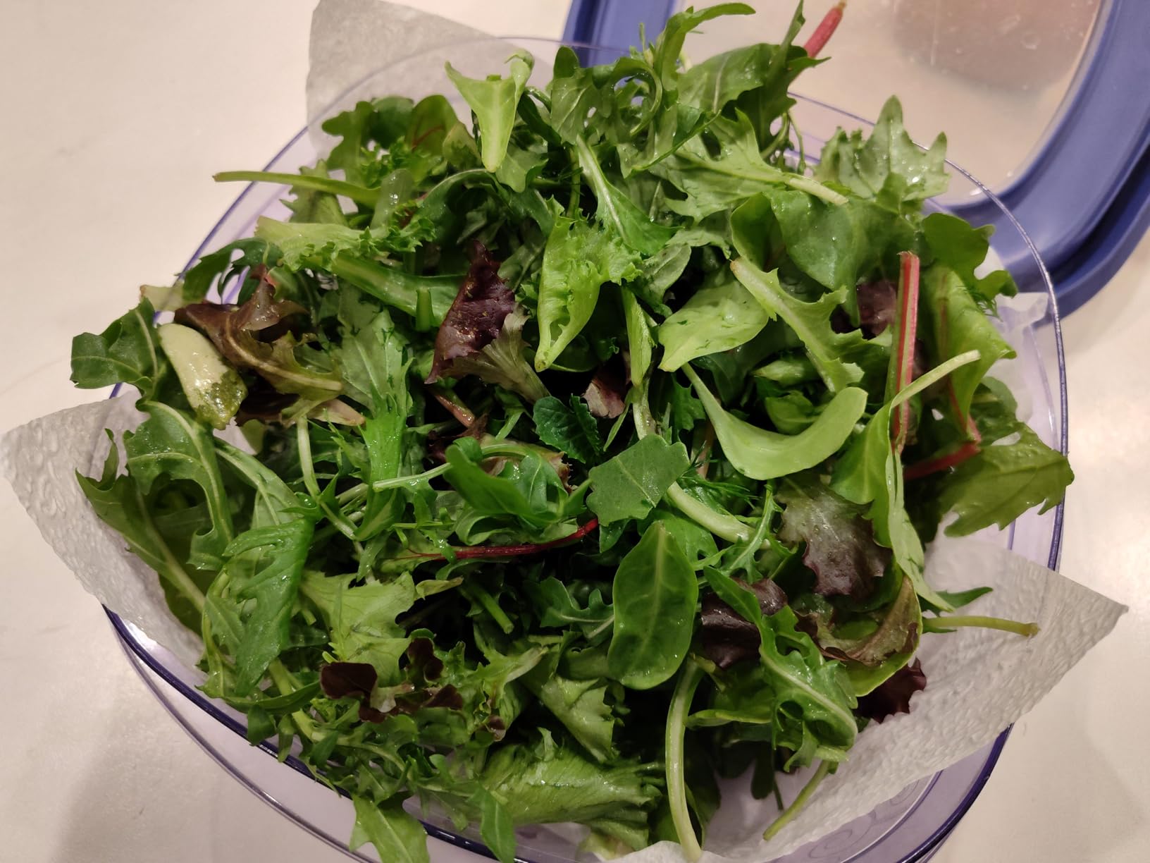 Farberware Easy to use pro Pump Spinner with Bowl, Colander and Built in draining System for Fresh, Crisp, Clean Salad and Produce, 6.6 quart, Green - Customer Photo 2