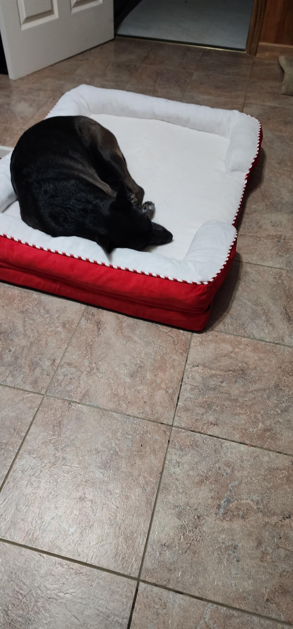 Bedsure Orthopedic Dog Beds Large Sized Dog - Washable Large Dog Cat Bed Waterproof, Comfort Dogs Couch Sofa with Washable Removable Cover, Pet Bed with Nonskid Bottom, Grey, 35 Bedsure Orthopedic Dog Beds Large Sized Dog - Washable Large Dog Cat Bed Waterproof, Comfort Dogs Couch Sofa with Washable Removable Cover, Pet Bed with Nonskid Bottom, Grey, 35