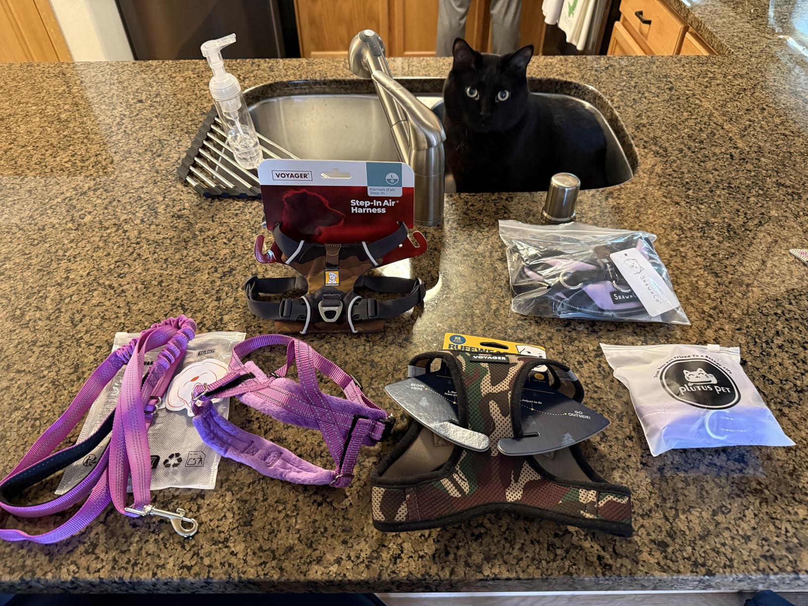 Best Pet Supplies Voyager Step-in Air Harness - All Weather Mesh, Reflective, No Pull Harness for Dogs, Cats - Secure with Hook & Loop Fastener, Buckle, Double D-Rings - Fuchsia, L - Customer Photo 1