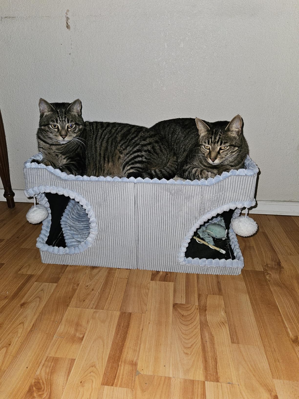 Bedsure Cat Beds for Indoor Cats - Large Cat Cave for Pet Cat House with Fluffy Ball Hanging and Scratch Pad, Foldable Cat Hideaway, 16.5x16.5x13 inches, Grey Customer Review Bedsure Cat Beds for Indoor Cats - Large Cat Cave for Pet Cat House with Fluffy Ball Hanging and Scratch Pad, Foldable Cat Hideaway, 16.5x16.5x13 inches, Grey - Customer Photo 2