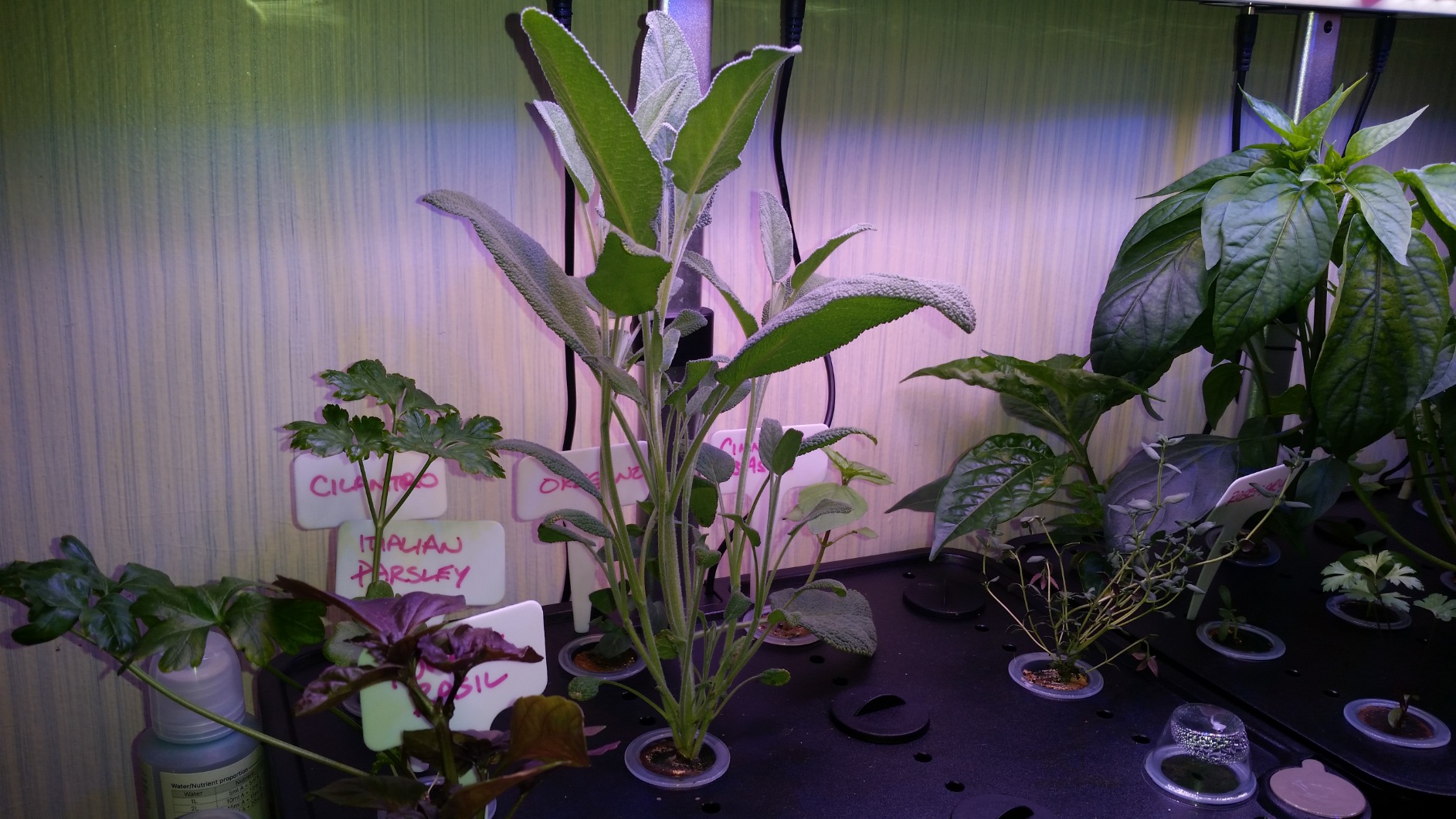 iDOO Hydroponics Growing System Kit 12Pods, Indoor Herb Garden System, with LED Grow Light, Built-in Fan, Auto-Timer, Adjustable Height Up to 11.3 iDOO Hydroponics Growing System Kit 12Pods, Indoor Herb Garden System, with LED Grow Light, Built-in Fan, Auto-Timer, Adjustable Height Up to 11.3