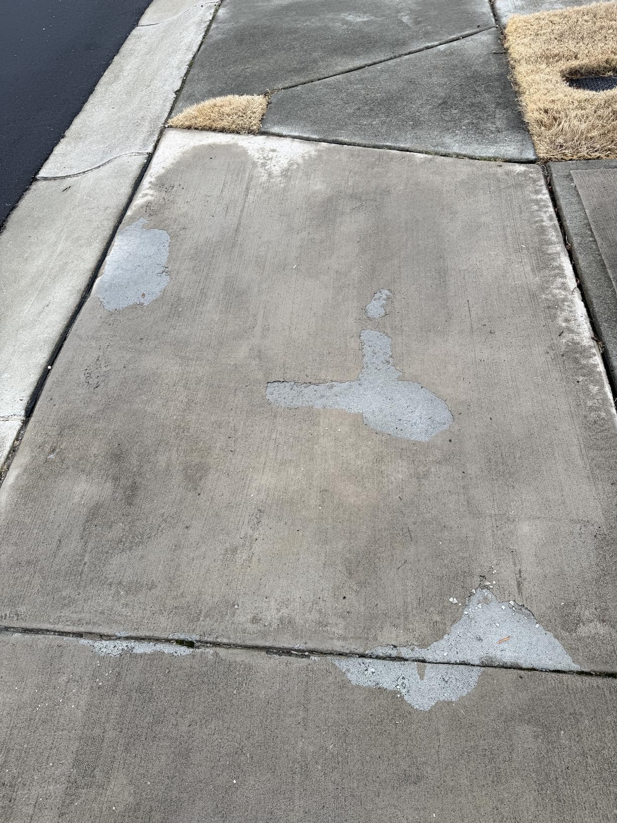 Scotwood Industries 20-Pound Road Runner Premium Ice Melter, New Version - Customer Photo 2