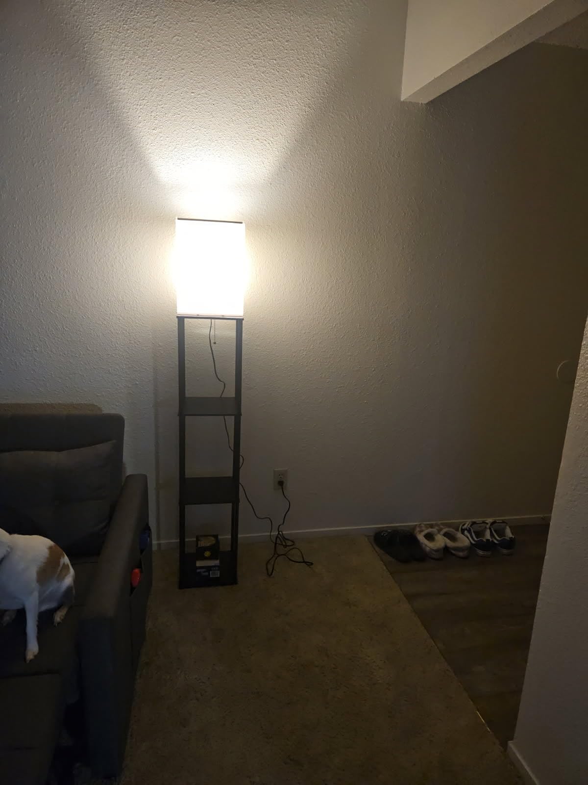 SUNMORY Floor Lamp with Shelves, Modern Square Standing Lamp with 3 Color Temperature Bulb, Corner Display Bookshelf Lamp for Living Room and Bedroom(Black) Customer Review SUNMORY Floor Lamp with Shelves, Modern Square Standing Lamp with 3 Color Temperature Bulb, Corner Display Bookshelf Lamp for Living Room and Bedroom(Black) - Customer Photo 1