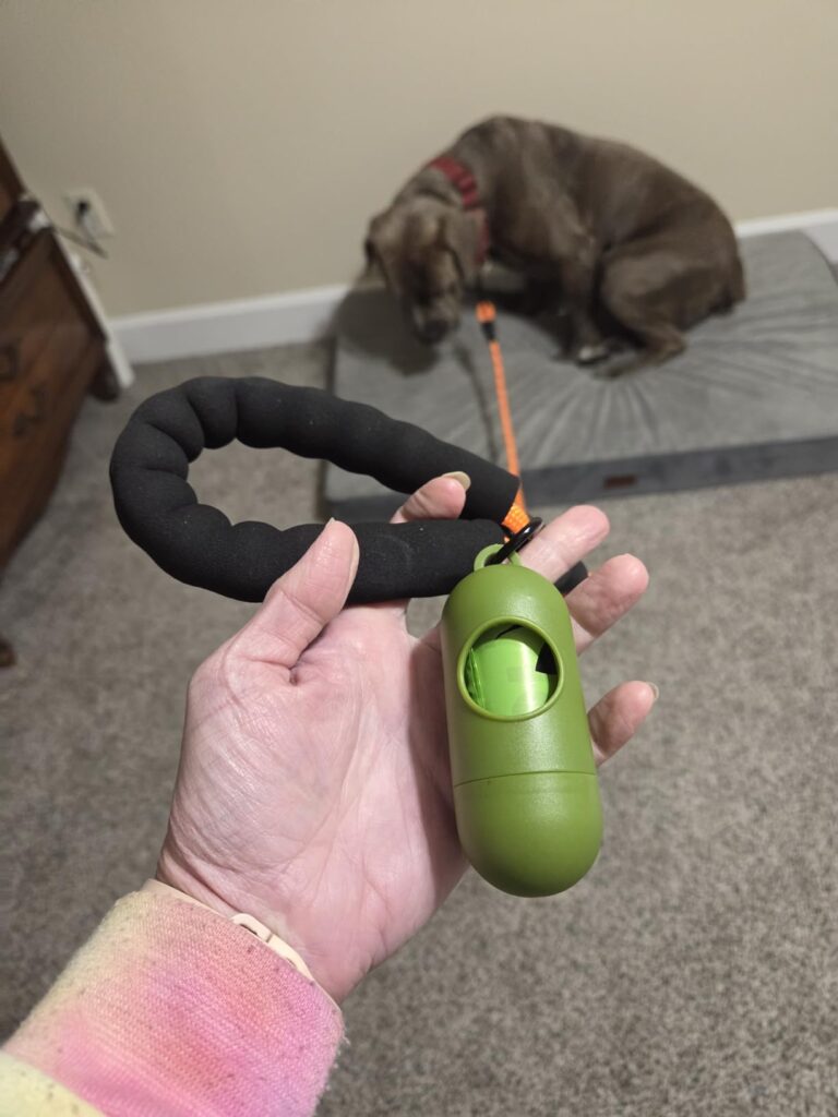 Taglory Rope Dog Leash 6 FT with Comfortable Padded Handle, Highly Reflective Threads Leash Customer Review Best Dog Leash