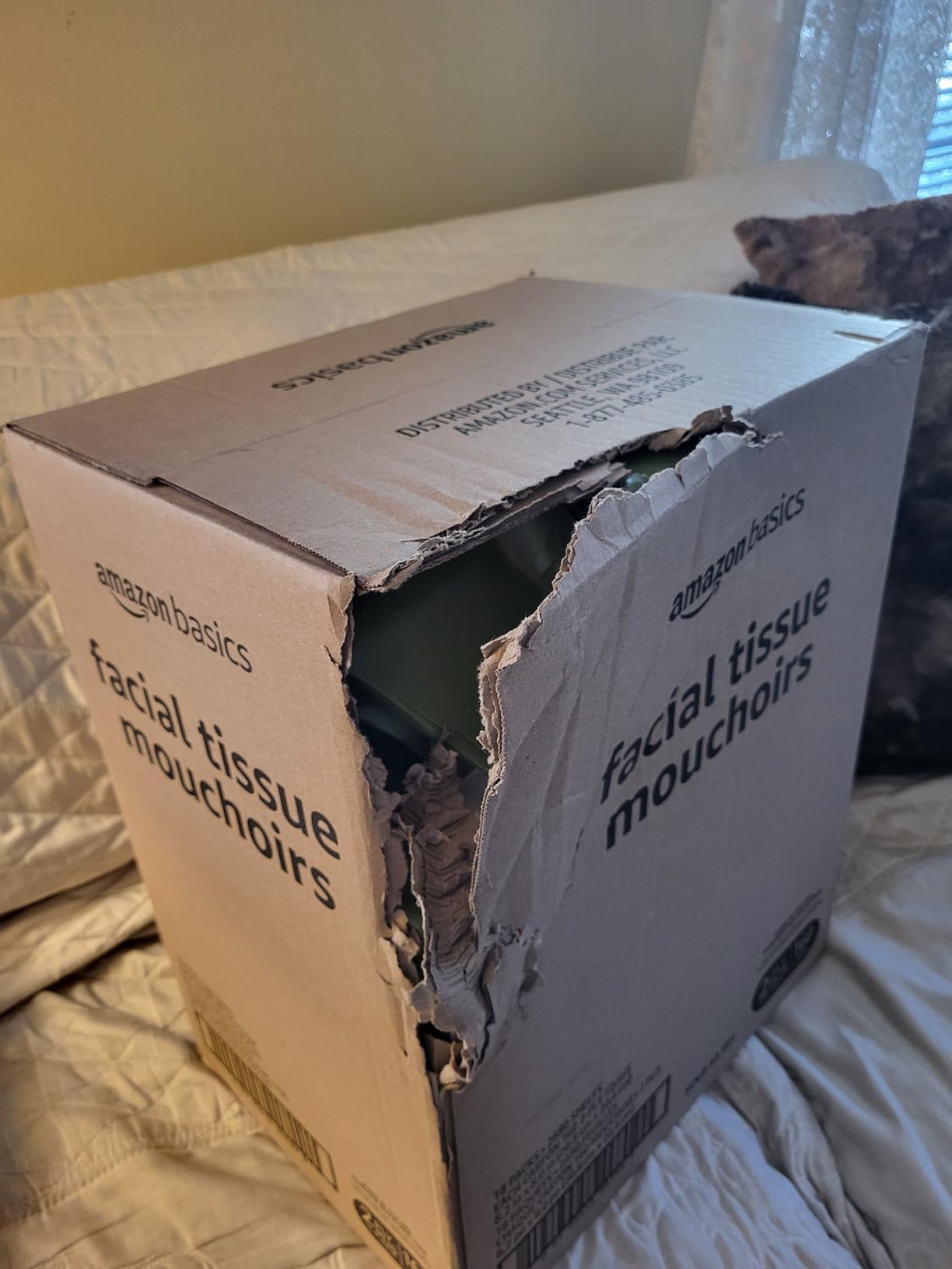Amazon Basics Facial Tissue, 2-Ply, 160 Tissues per Box, 4 Boxes (640 total) (Previously Solimo) Customer Review Amazon Basics Facial Tissue, 2-Ply, 160 Tissues per Box, 4 Boxes (640 total) (Previously Solimo) - Customer Photo 3