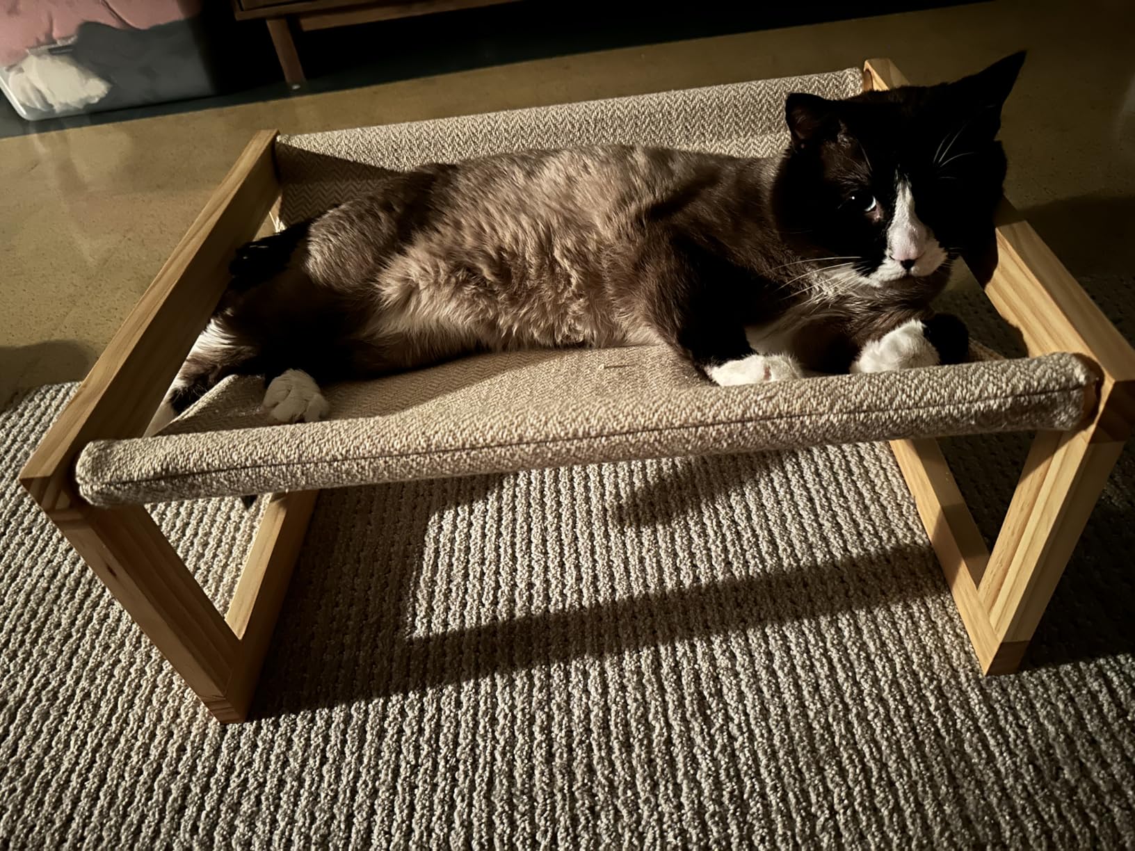 FUKUMARU Dog Bed, Large Breathable Elevated Cat Hammock, Wooden Cat Beds for Outdoor and Indoor, 21 Inch Raised Pet Beds Suitable for Cats, Puppy, Bunny and Small Animal Customer Review FUKUMARU Dog Bed, Large Breathable Elevated Cat Hammock, Wooden Cat Beds for Outdoor and Indoor, 21 Inch Raised Pet Beds Suitable for Cats, Puppy, Bunny and Small Animal - Customer Photo 5