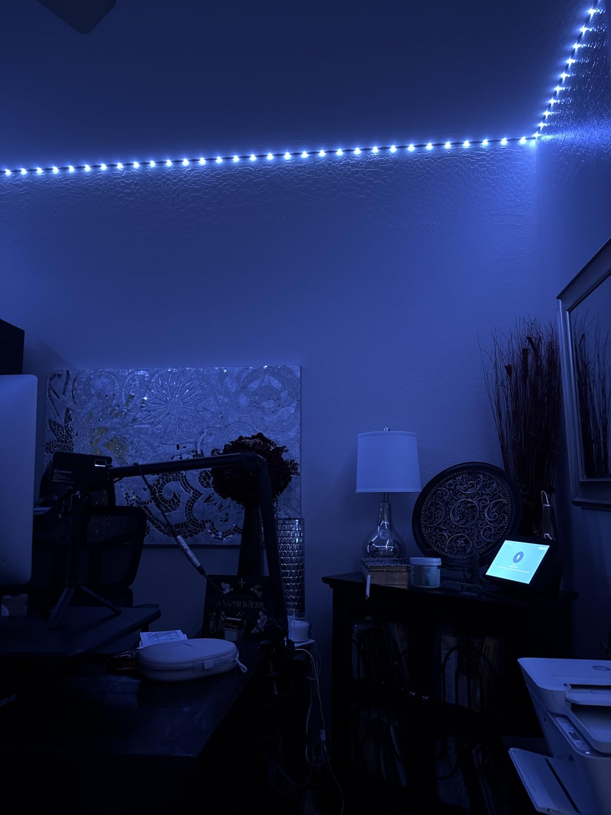KSIPZE 100ft Led Strip Lights RGB Music Sync Color Changing Led Lights with Smart App Control Remote Led Lights for Bedroom Room Lighting Flexible Home Décor customer photo 1