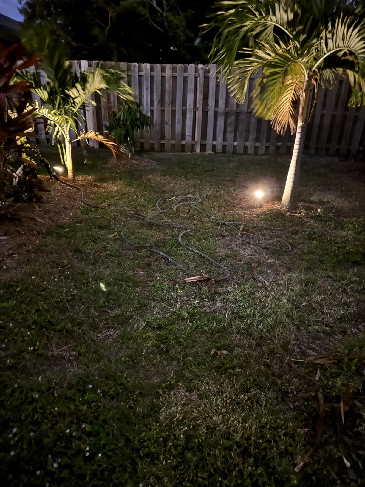 NYMPHY Solar Lights Outdoor Waterproof - 4 Pack (Cool White) customer photo 2