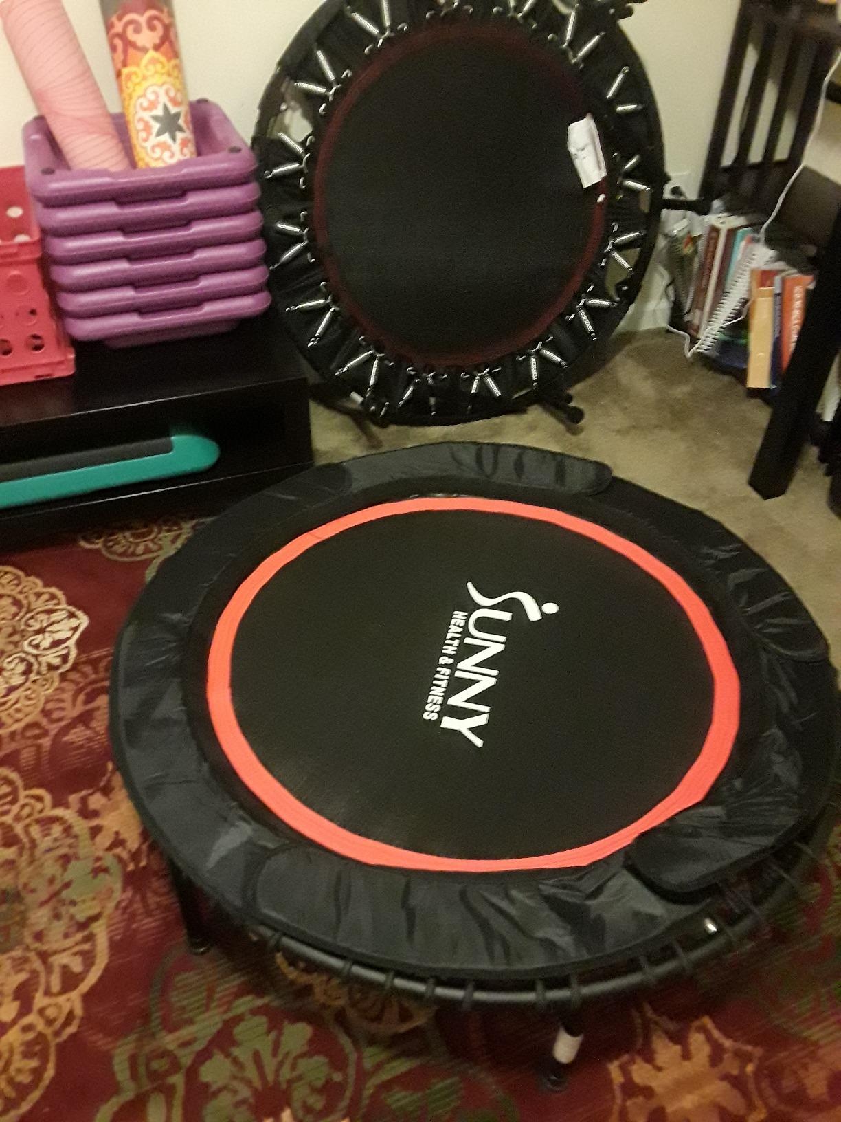Sunny Health & Fitness Springless Mini Fitness Trampoline – Premium Adjustable Bungee-Style Indoor/Outdoor Exercise Rebounder for Quieter and Safer Workouts Customer Review Sunny Health & Fitness Springless Mini Fitness Trampoline – Premium Adjustable Bungee-Style Indoor/Outdoor Exercise Rebounder for Quieter and Safer Workouts - Customer Photo 1