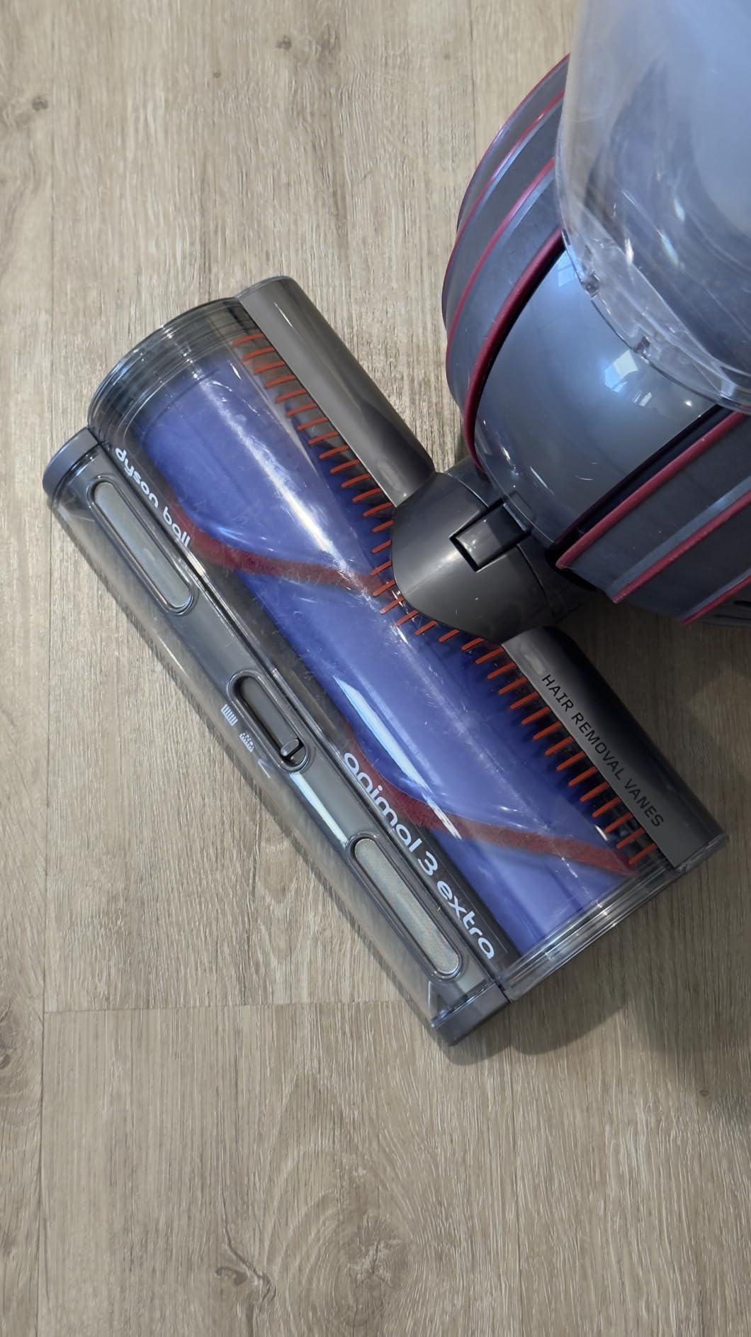 Dyson Ball Animal 3 Upright Vacuum, Corded, 290AW, De-tangling Motorbar Cleaner Head for All Floors, 3 Suction Modes customer photo 2