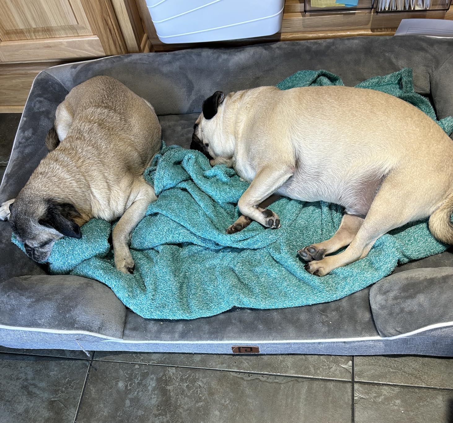 EHEYCIGA Orthopedic Extra Large Dog Bed, Waterproof Washable XL Pet Bed 44
