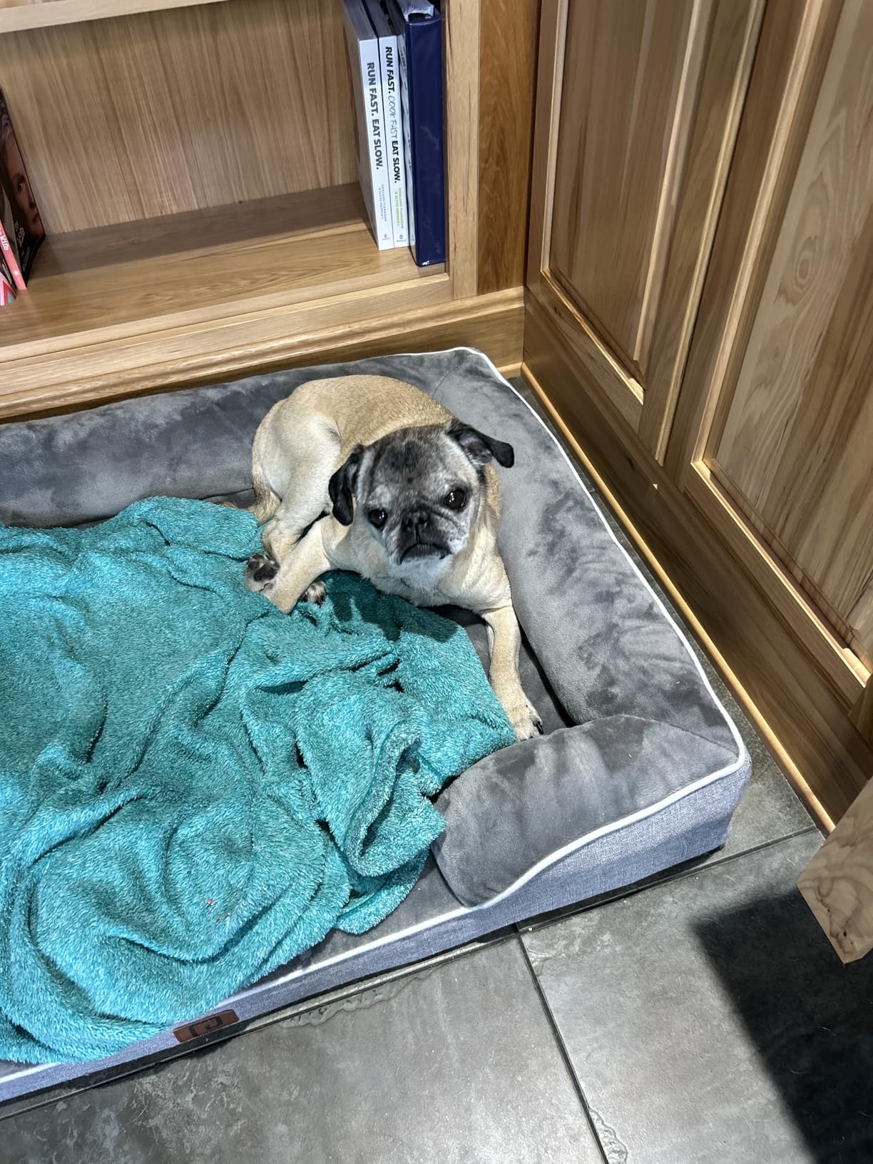 EHEYCIGA Orthopedic Extra Large Dog Bed, Waterproof Washable XL Pet Bed 44