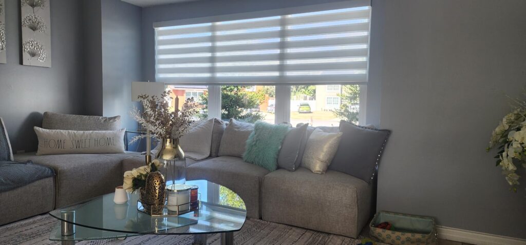 AOSKY Cordless Roller Shades Blackout Blinds for Windows Room Darkening Rolled Up Shades with Spring System, UV Protection Window Shades Door Blinds for Home and Office (23 Best Window Shades