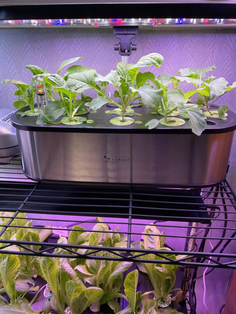 LetPot LPH-SE Hydroponics Growing System, 12 Pods Smart Herb Garden Kit Indoor, Indoor Garden, APP & WiFi Controlled, with 24W Growing LED, 5.5L Water Tank, Pump System, Automatic Timer Customer Review Best Indoor Garden