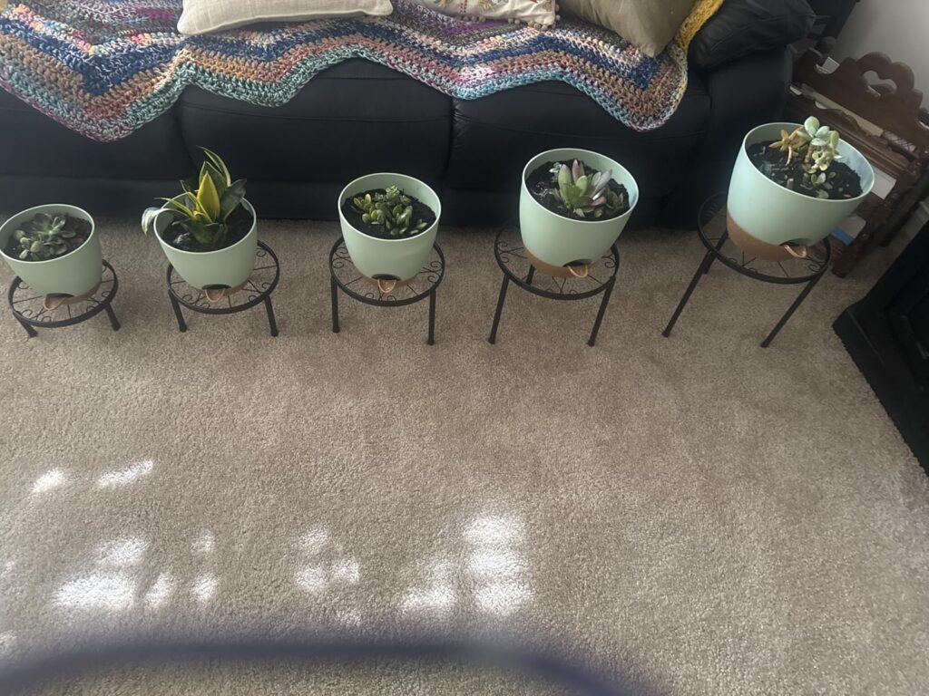 Plant Pots 10/9/8/7.5/7 Inch Self Watering Pots, Set of 5 Plastic Planters with Drainage Holes and Saucers Customer Review Best Flower Pot